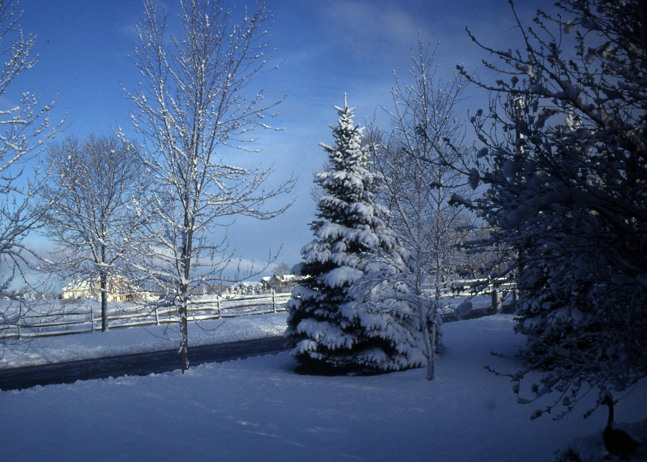 View of Residential at 2805 Alvarado Lane, Plymouth MN 55447, Plymouth (35 of 36) - Mike Wilen | Minnesota Team Real Estate