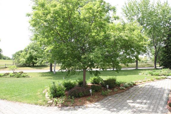 View of Residential at 2805 Alvarado Lane, Plymouth MN 55447, Plymouth (33 of 36) - Mike Wilen | Minnesota Team Real Estate