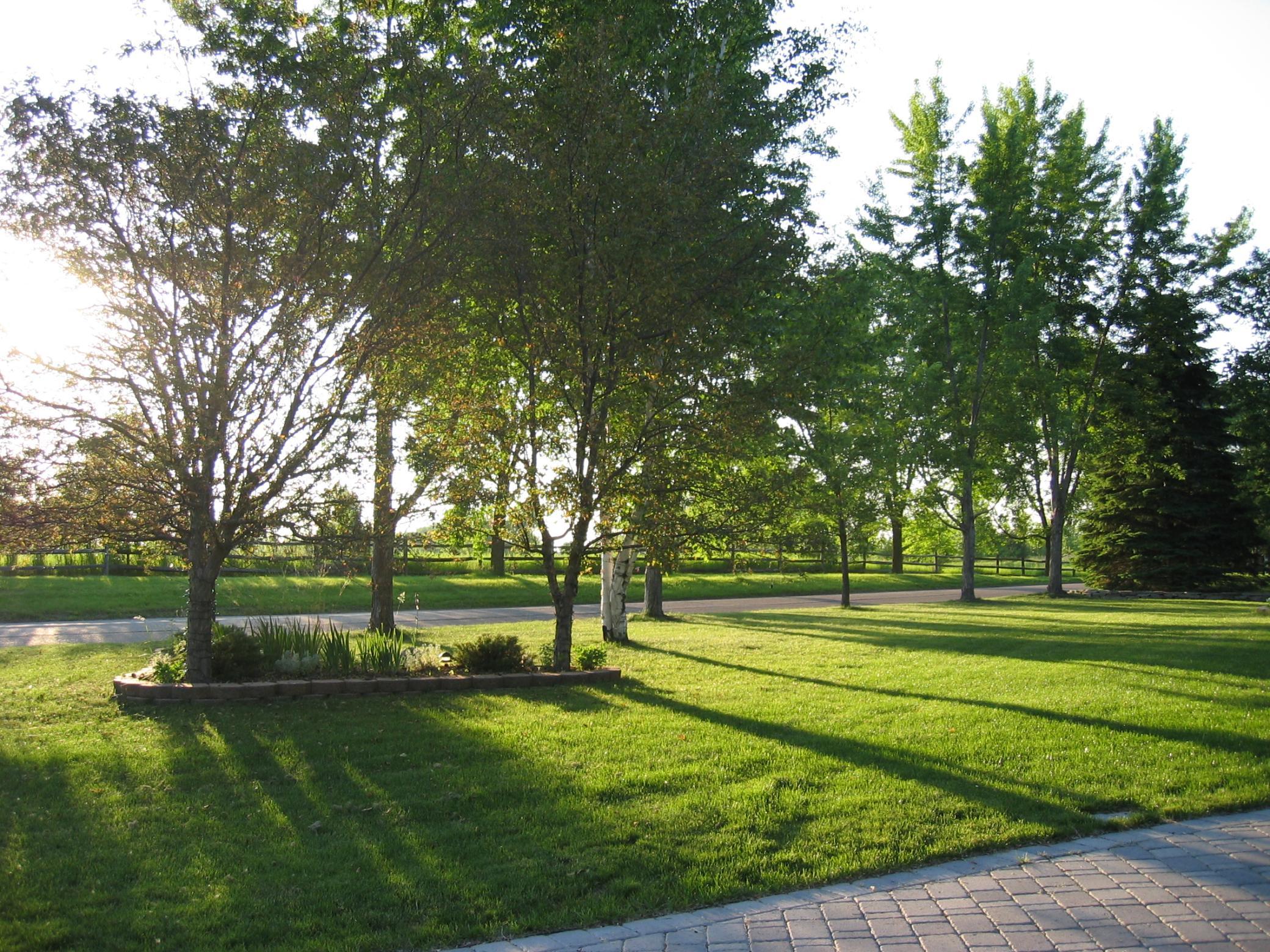 View of Residential at 2805 Alvarado Lane, Plymouth MN 55447, Plymouth (24 of 36) - Mike Wilen | Minnesota Team Real Estate