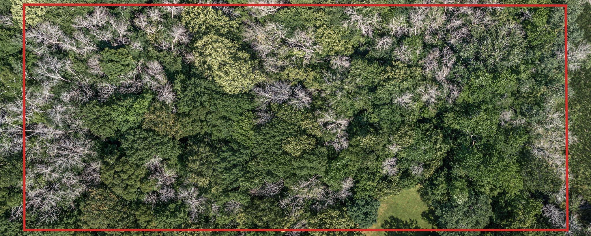 View of Land at 25xxx Itasca Avenue, Forest Lake MN 55025, Forest Lake (18 of 25) - Mike Wilen | Minnesota Team Real Estate
