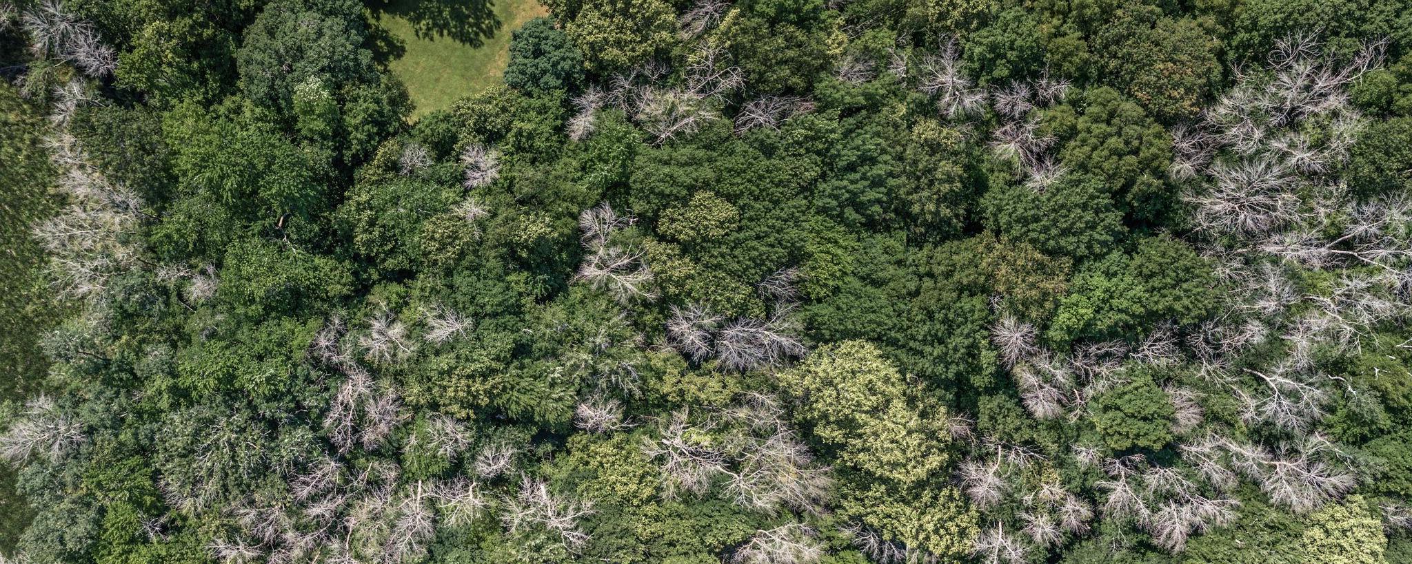View of Land at 25xxx Itasca Avenue, Forest Lake MN 55025, Forest Lake (17 of 25) - Mike Wilen | Minnesota Team Real Estate