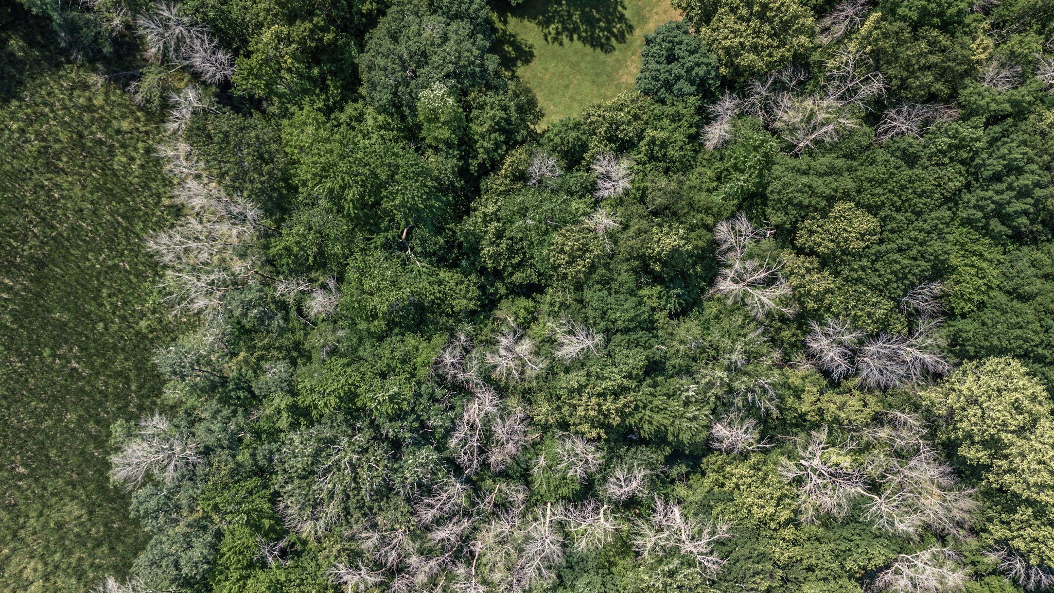 View of Land at 25xxx Itasca Avenue, Forest Lake MN 55025, Forest Lake (16 of 25) - Mike Wilen | Minnesota Team Real Estate