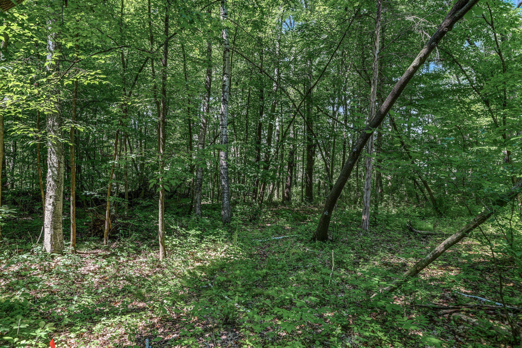 View of Land at 25xxx Itasca Avenue, Forest Lake MN 55025, Forest Lake (8 of 25) - Mike Wilen | Minnesota Team Real Estate