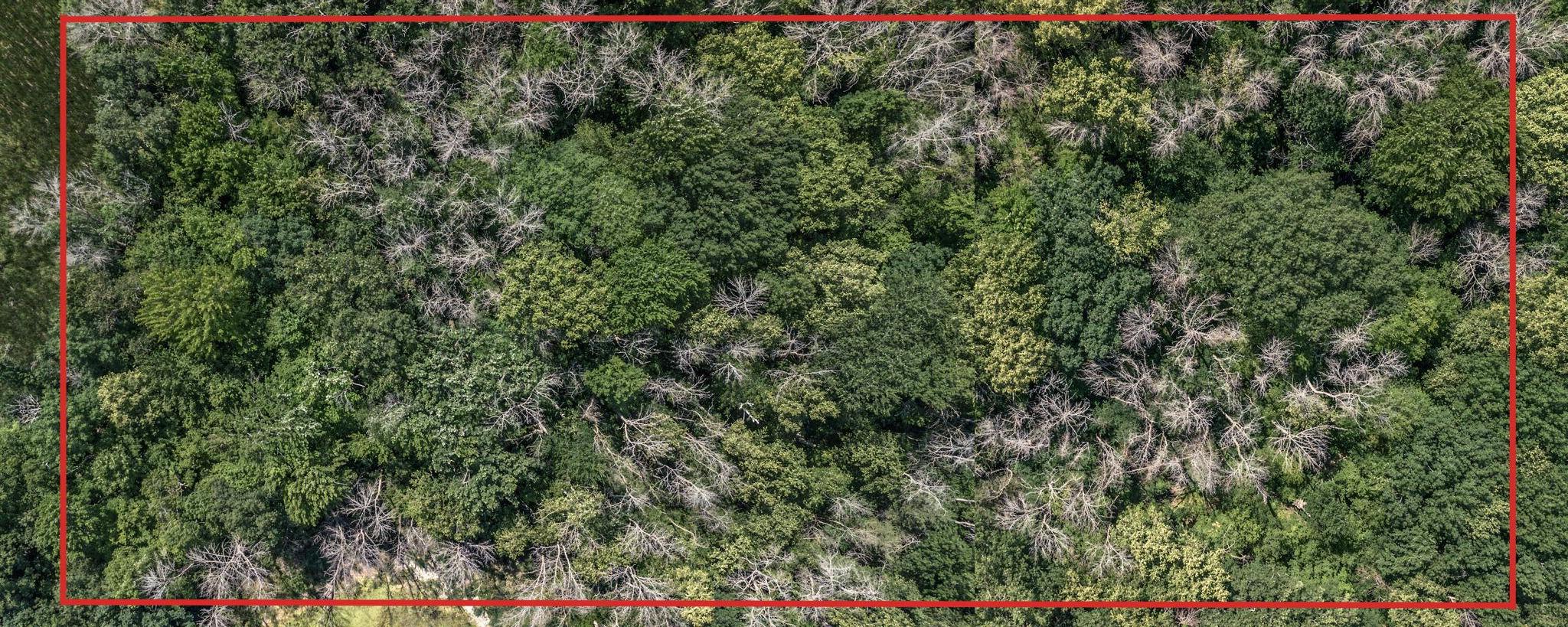 View of Land at 25179 Itasca Avenue, Forest Lake MN 55025, Forest Lake (19 of 25) - Mike Wilen | Minnesota Team Real Estate