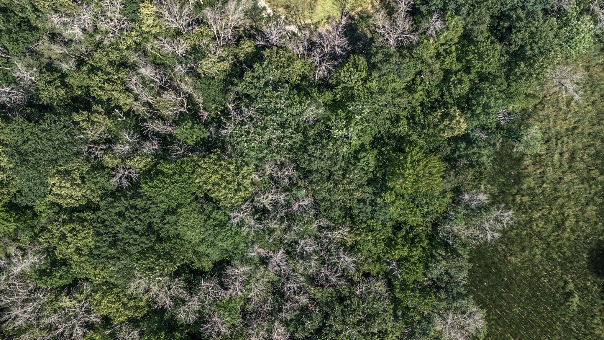 View of Land at 25179 Itasca Avenue, Forest Lake MN 55025, Forest Lake (16 of 25) - Mike Wilen | Minnesota Team Real Estate