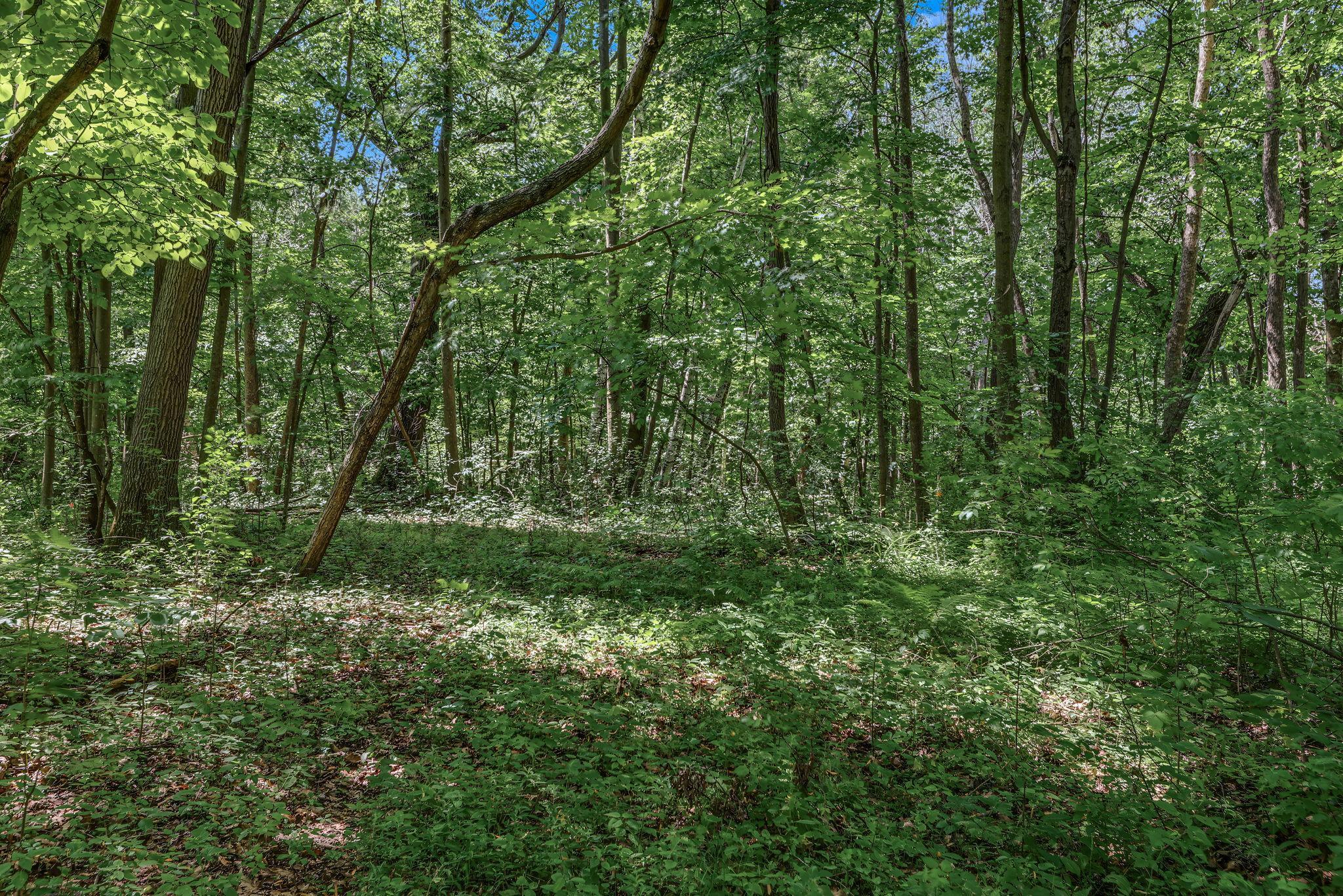 View of Land at 25179 Itasca Avenue, Forest Lake MN 55025, Forest Lake (10 of 25) - Mike Wilen | Minnesota Team Real Estate