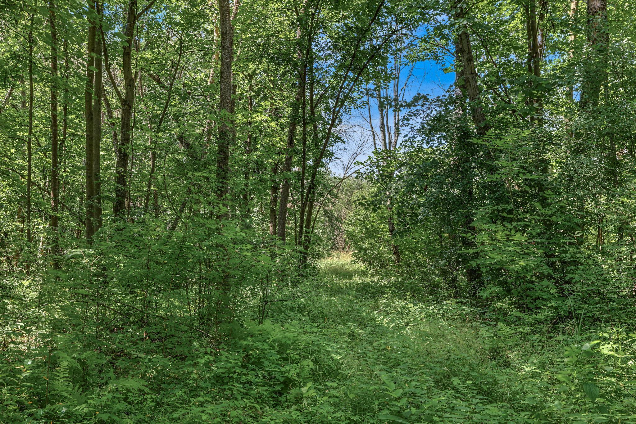 View of Land at 25179 Itasca Avenue, Forest Lake MN 55025, Forest Lake (9 of 25) - Mike Wilen | Minnesota Team Real Estate