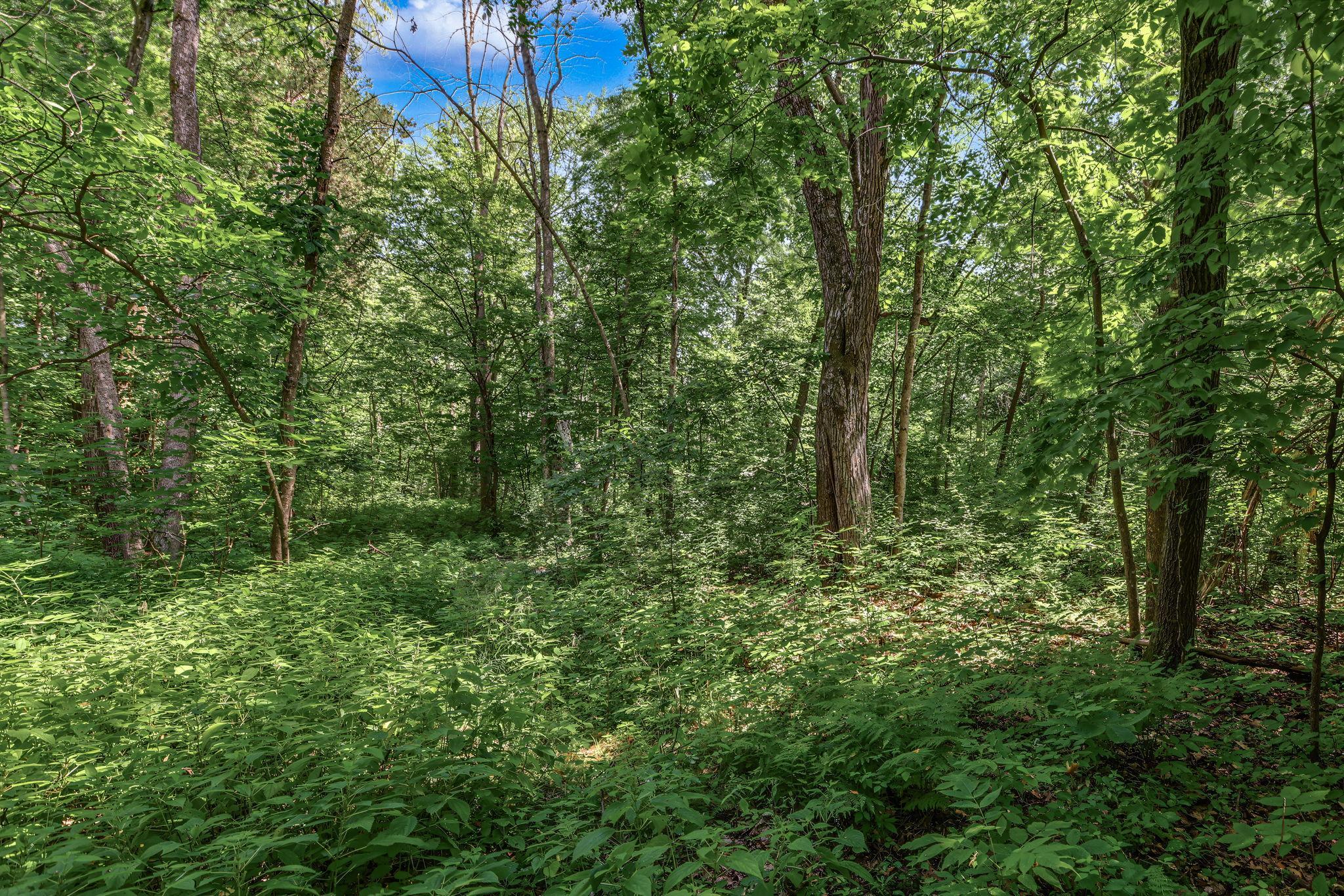 View of Land at 25179 Itasca Avenue, Forest Lake MN 55025, Forest Lake (8 of 25) - Mike Wilen | Minnesota Team Real Estate