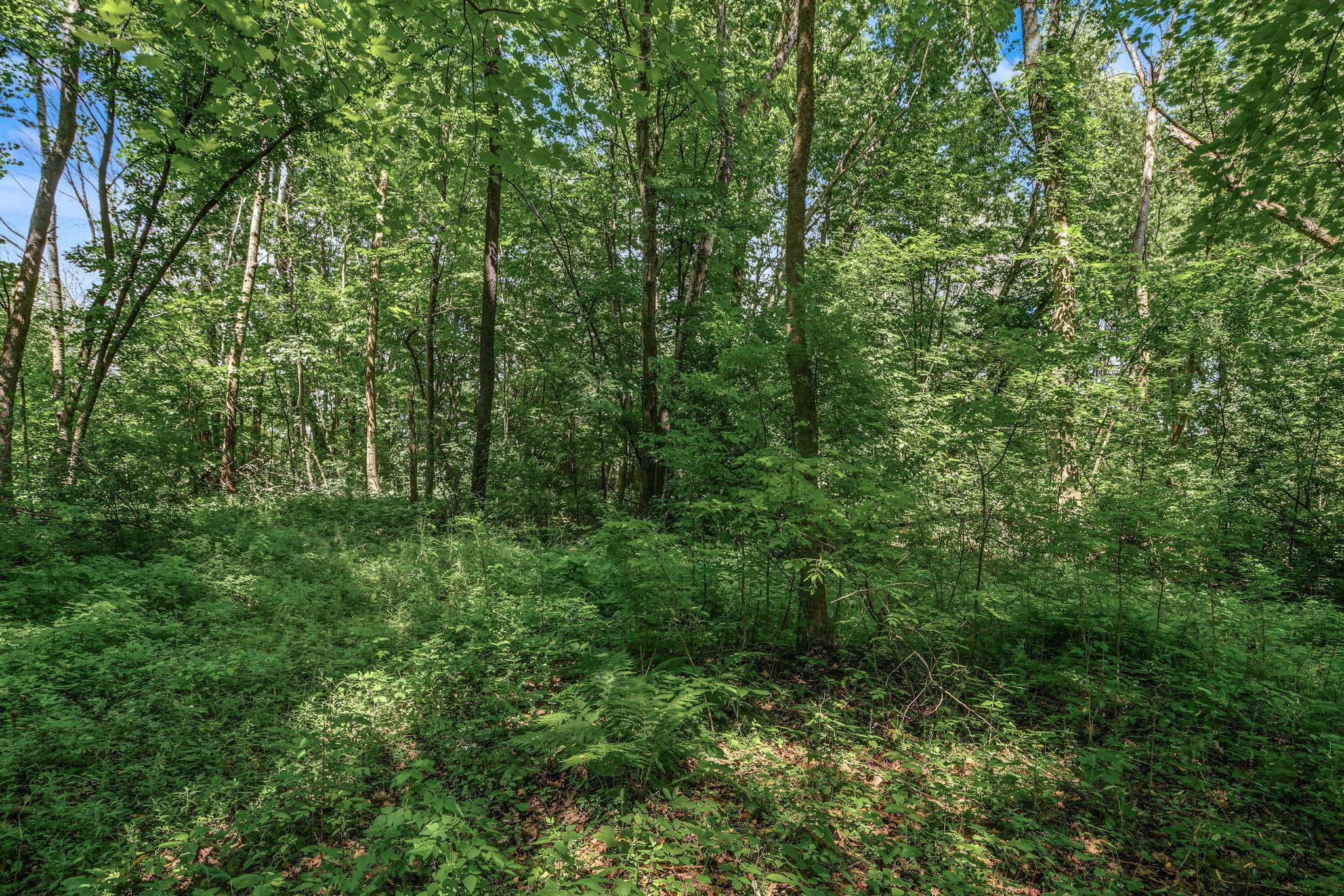 View of Land at 25179 Itasca Avenue, Forest Lake MN 55025, Forest Lake (6 of 25) - Mike Wilen | Minnesota Team Real Estate