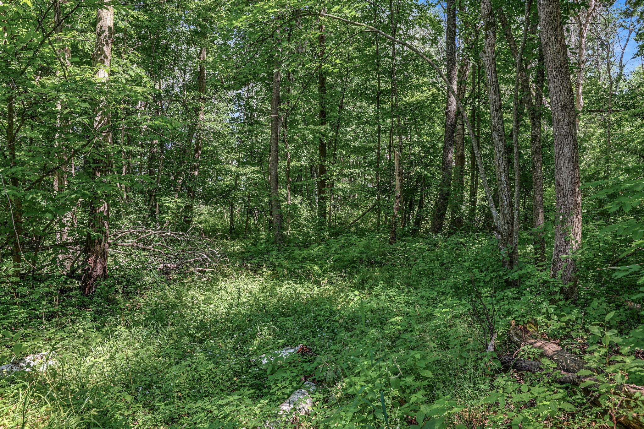View of Land at 25179 Itasca Avenue, Forest Lake MN 55025, Forest Lake (4 of 25) - Mike Wilen | Minnesota Team Real Estate