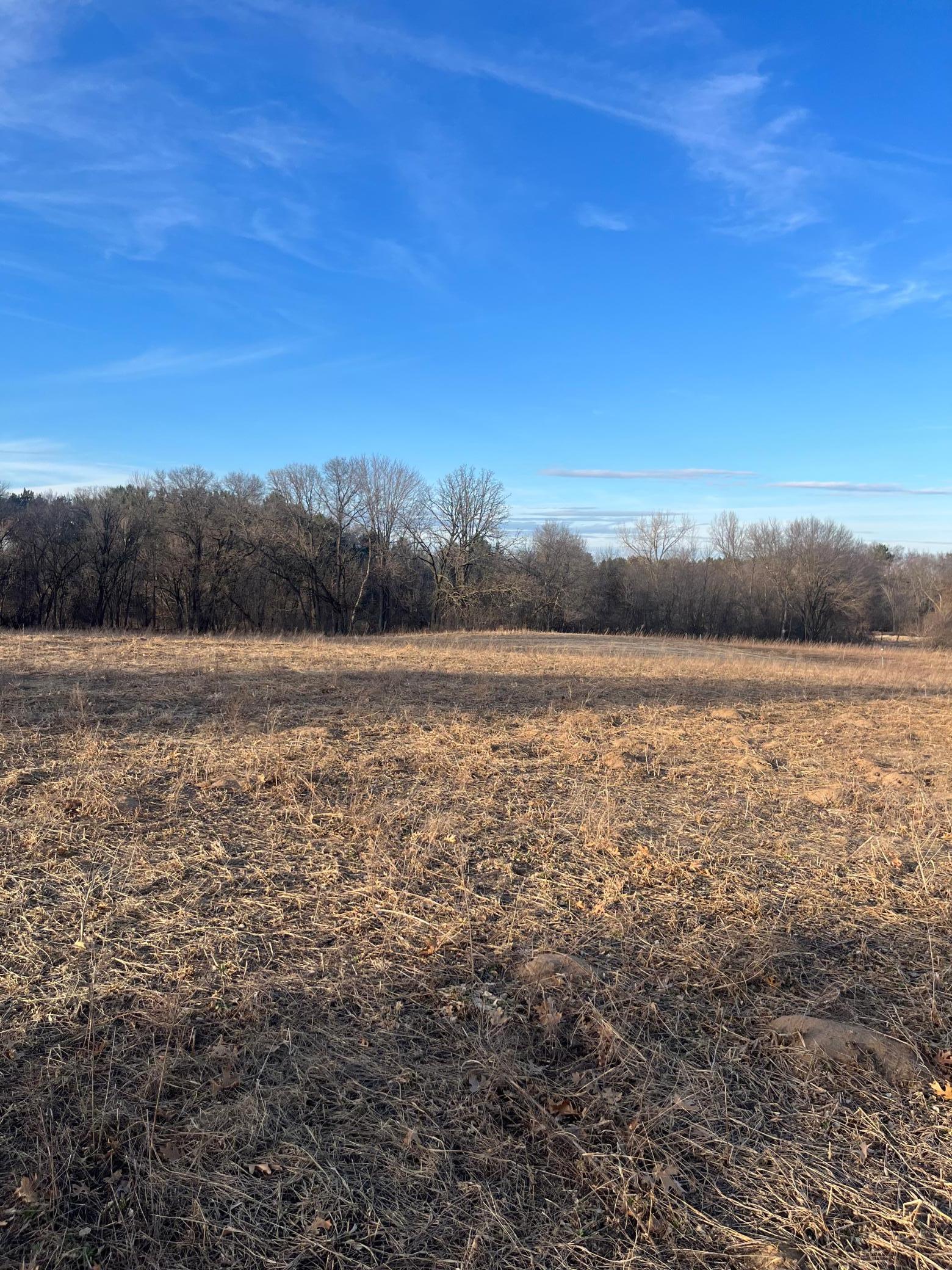 View of Land at 5590 Bridgestone Road, Saint Francis MN 55070, Saint Francis (3 of 3) - Mike Wilen | Minnesota Team Real Estate