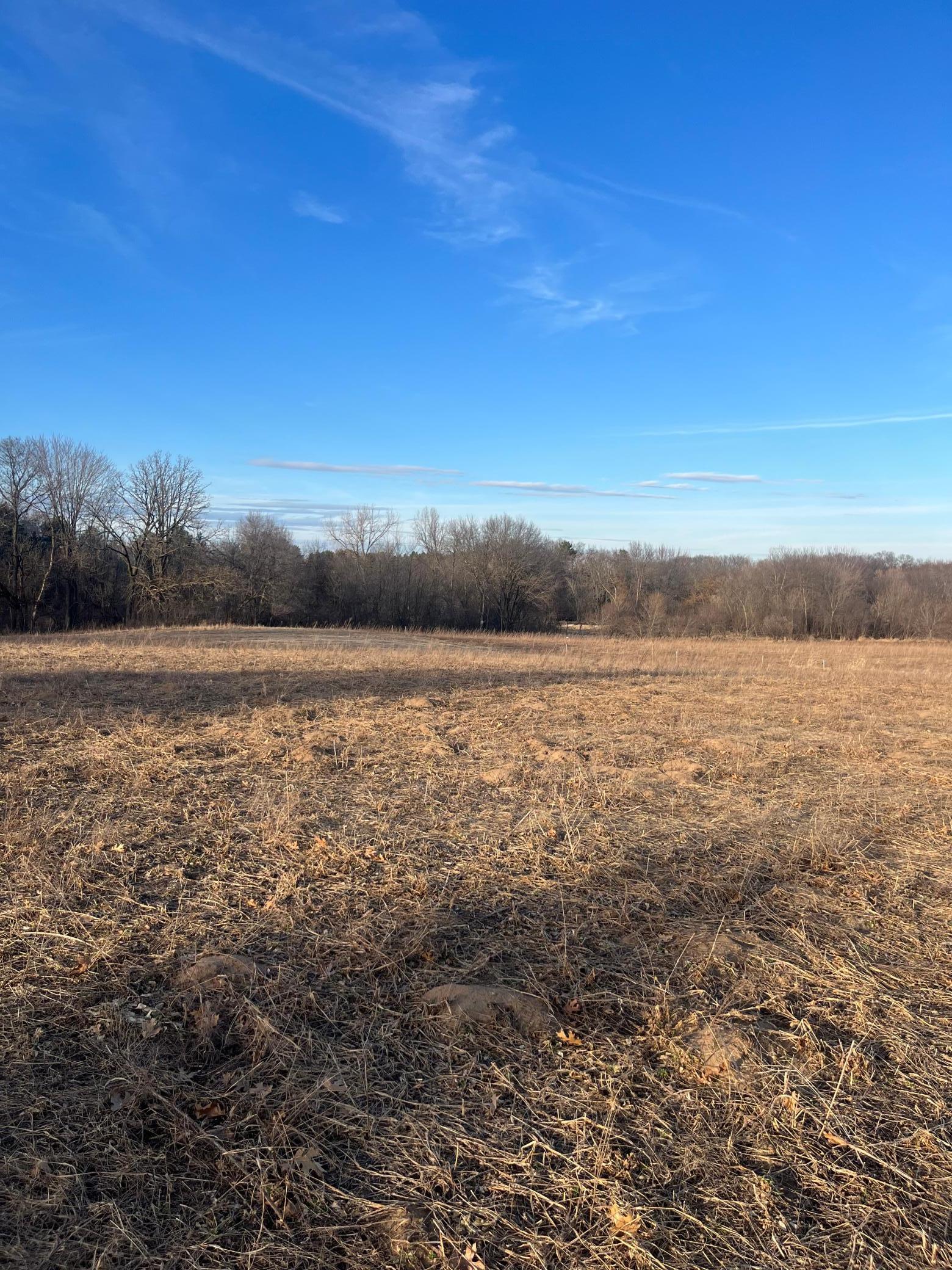 View of Land at 5590 Bridgestone Road, Saint Francis MN 55070, Saint Francis - Mike Wilen | Minnesota Team Real Estate