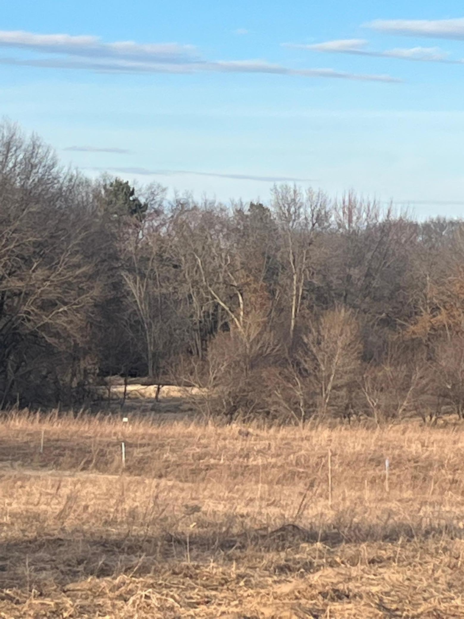 View of Land at 5590 Bridgestone Road, Saint Francis MN 55070, Saint Francis (2 of 3) - Mike Wilen | Minnesota Team Real Estate