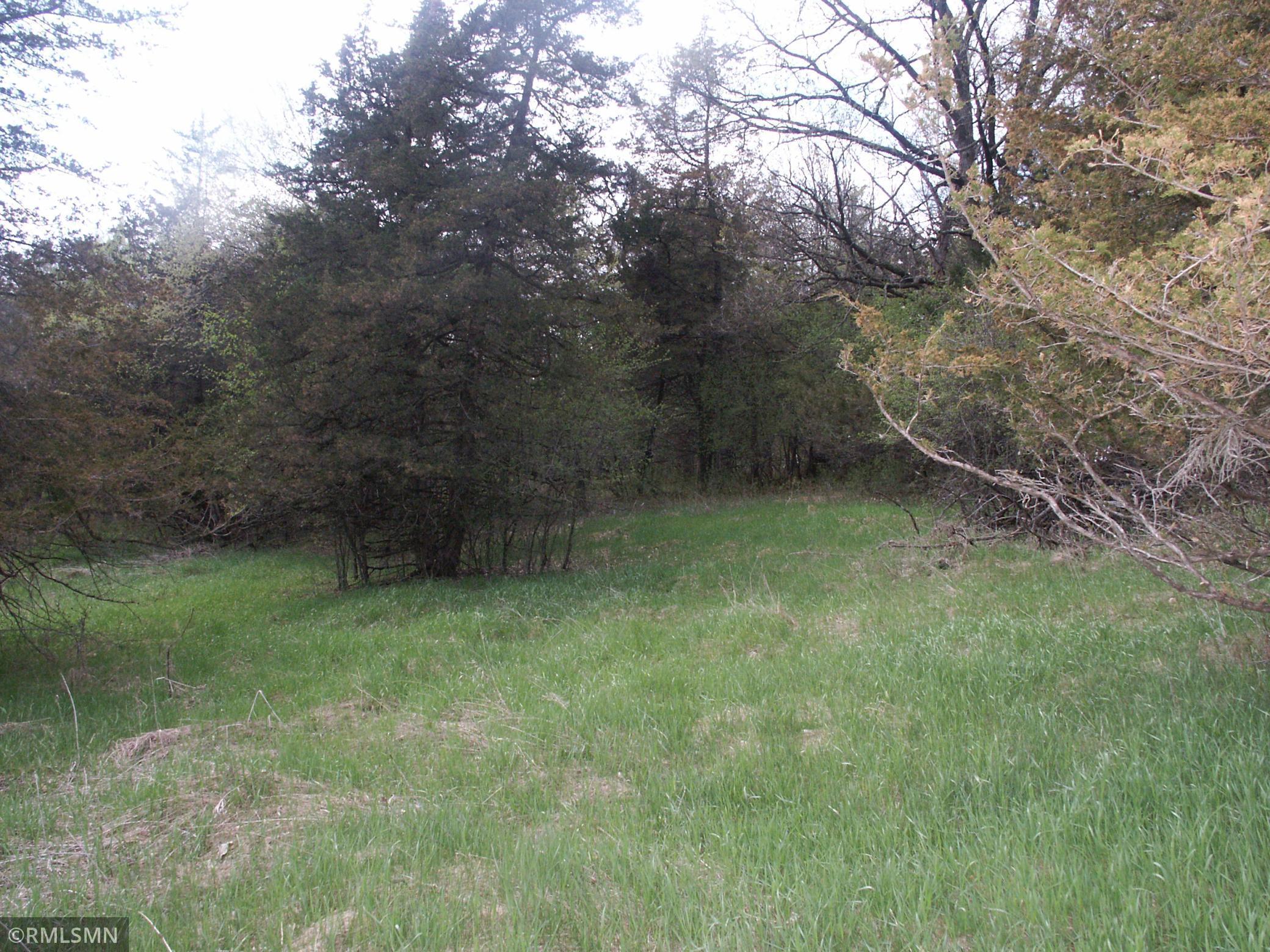 View of Land at TBD 185 Ave SE, Big Lake MN 55309, Big Lake (8 of 16) - Mike Wilen | Minnesota Team Real Estate