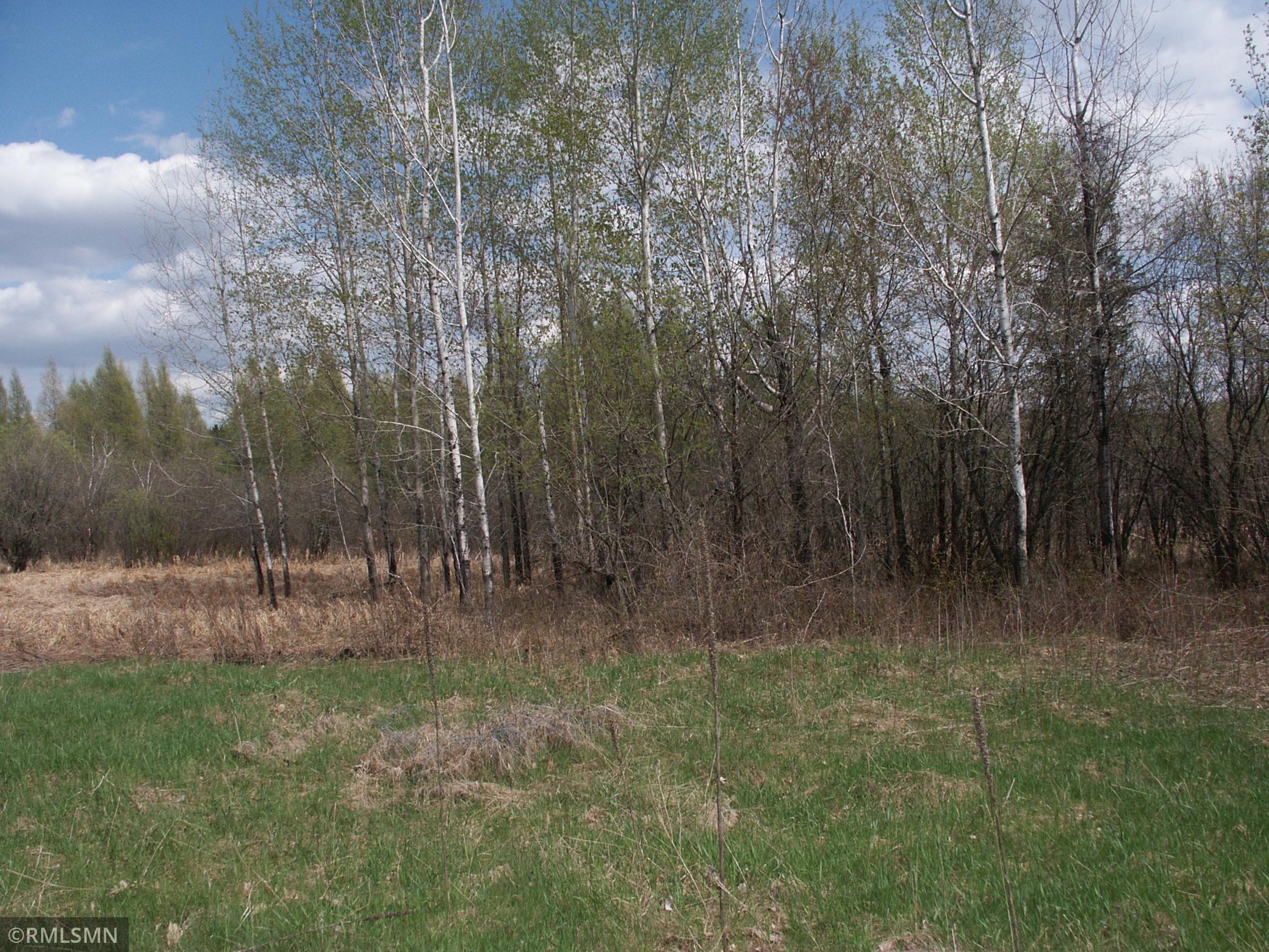 View of Land at TBD 185 Ave SE, Big Lake MN 55309, Big Lake (14 of 16) - Mike Wilen | Minnesota Team Real Estate