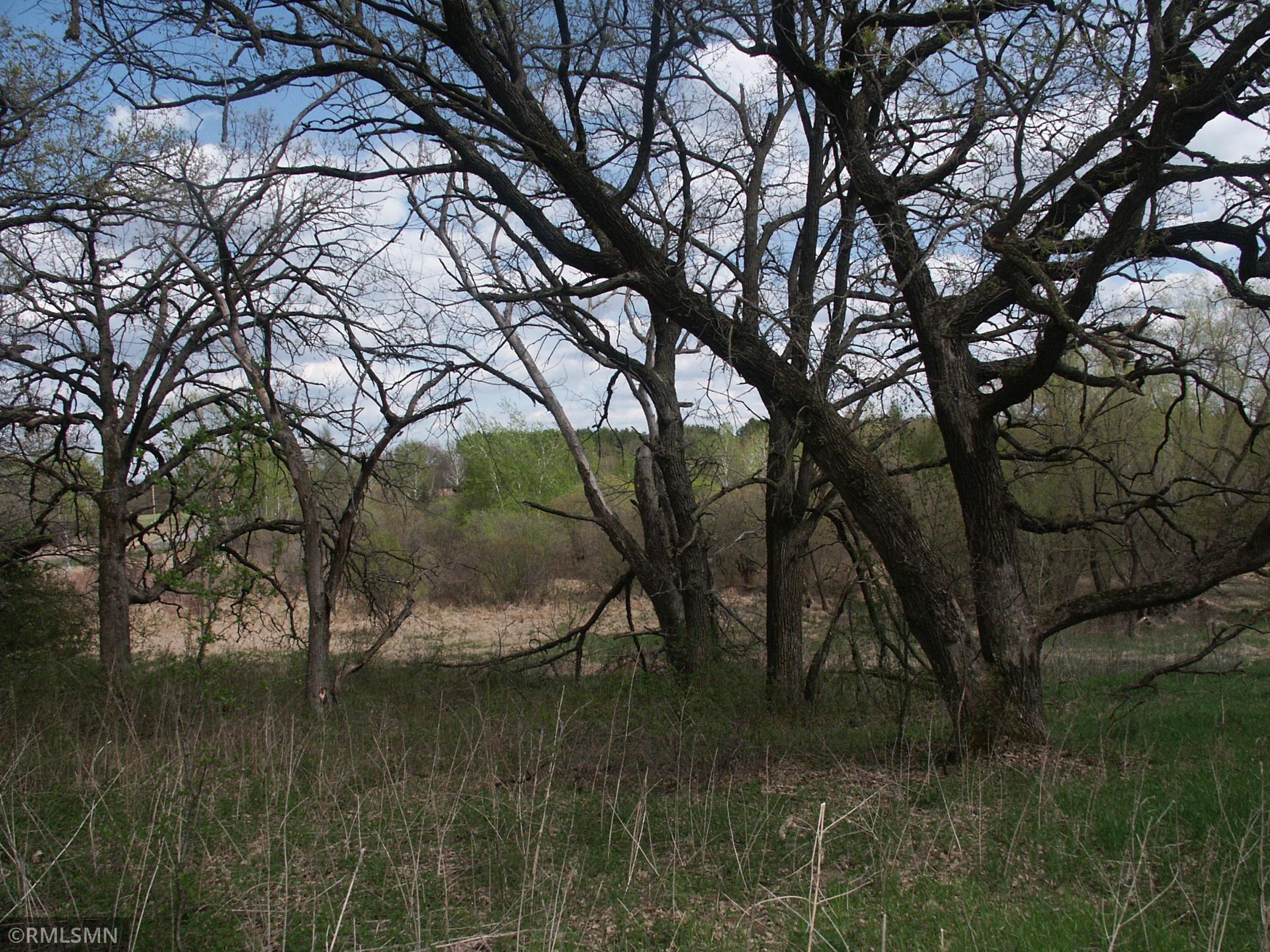 View of Land at TBD 185 Ave SE, Big Lake MN 55309, Big Lake (11 of 16) - Mike Wilen | Minnesota Team Real Estate