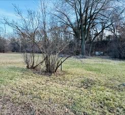 View of Land at 16XX Woodbury Road, Newport MN 55055, Newport (3 of 3) - Mike Wilen | Minnesota Team Real Estate