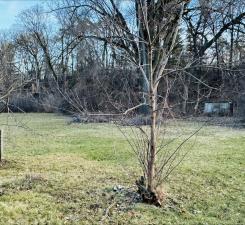 View of Land at 16XX Woodbury Road, Newport MN 55055, Newport (2 of 3) - Mike Wilen | Minnesota Team Real Estate