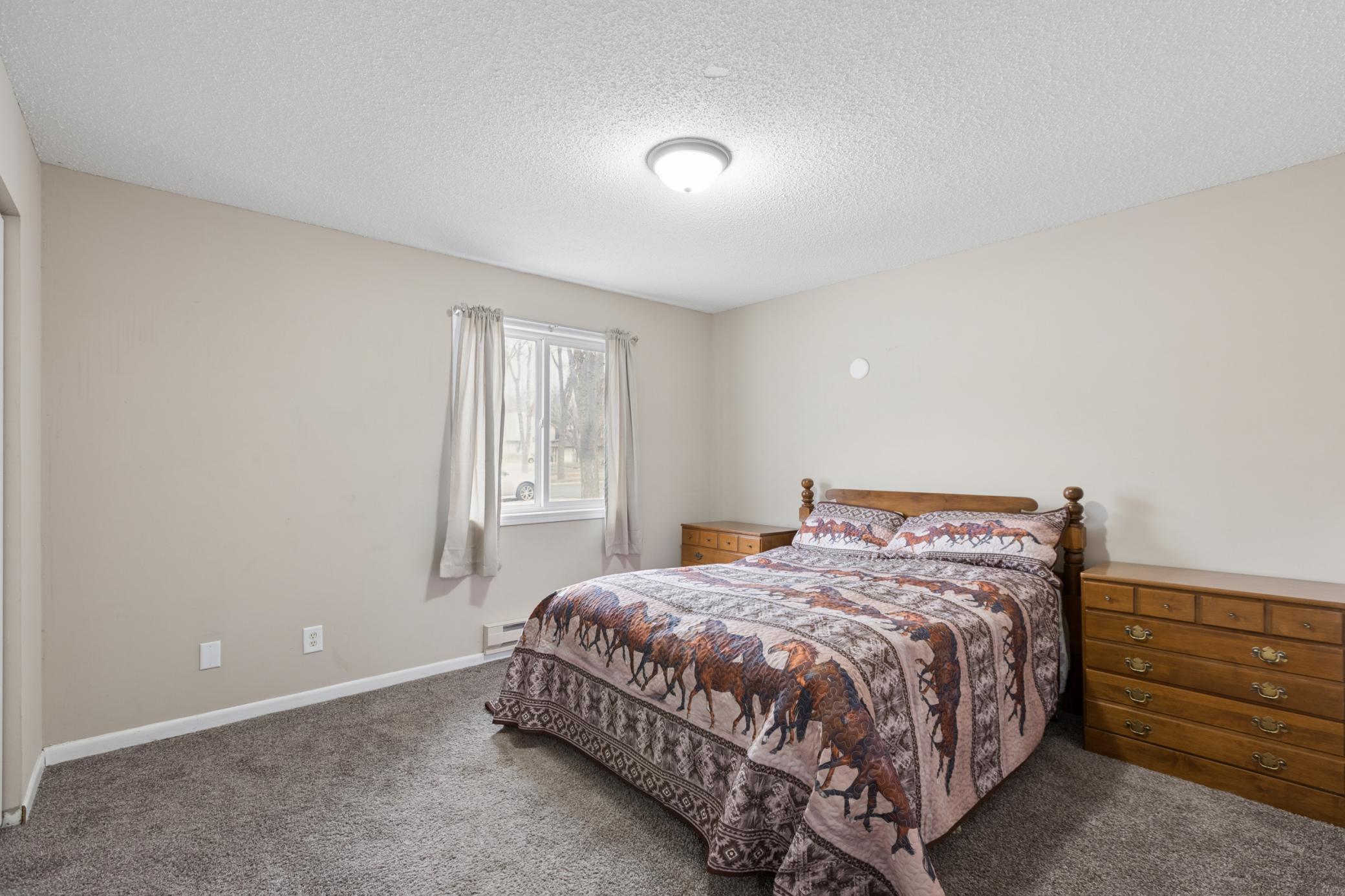 View of Residential at 3 Somerset Drive, Waconia MN 55387, Waconia (13 of 31) - Mike Wilen | Minnesota Team Real Estate