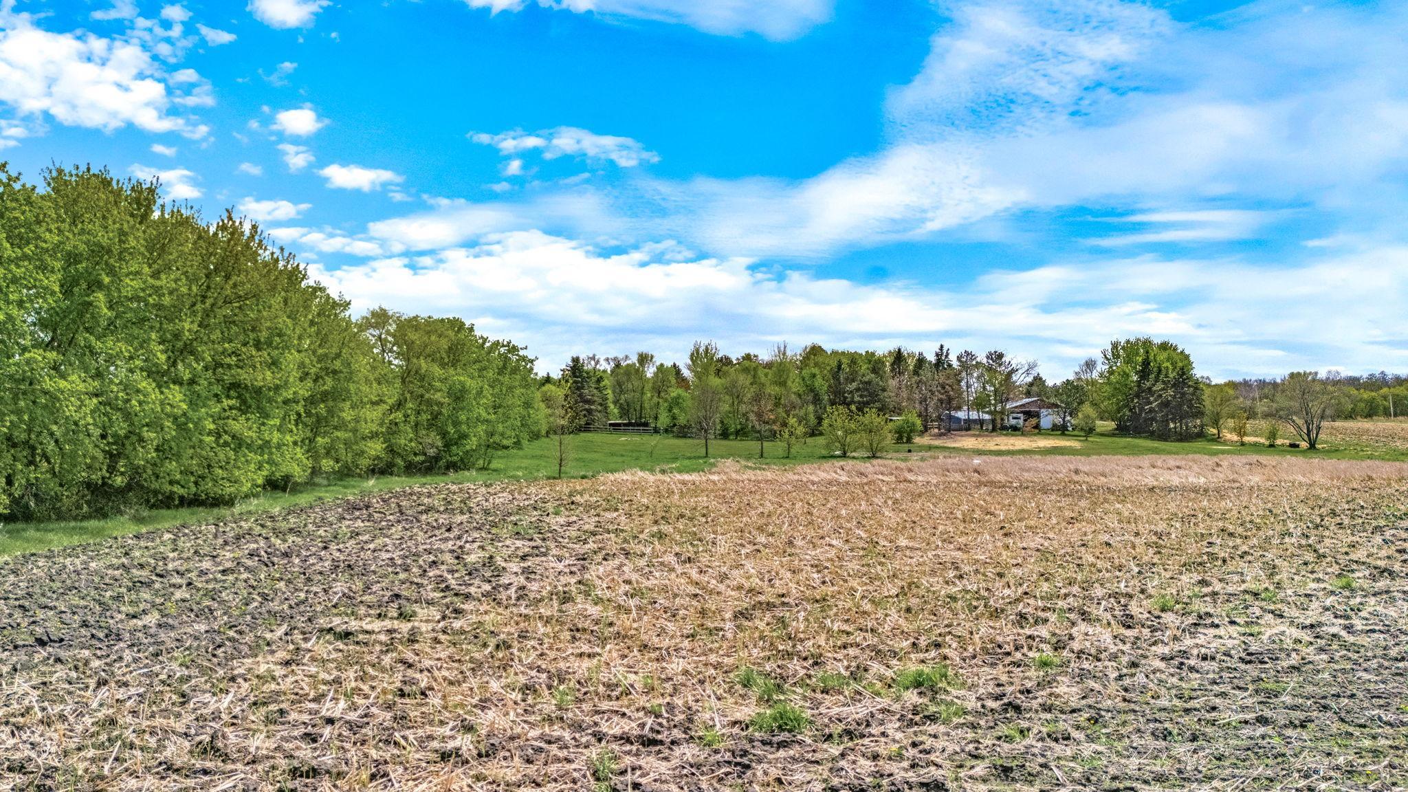 View of Land at XXX County 10, Corcoran MN 55340, Corcoran (7 of 27) - Mike Wilen | Minnesota Team Real Estate
