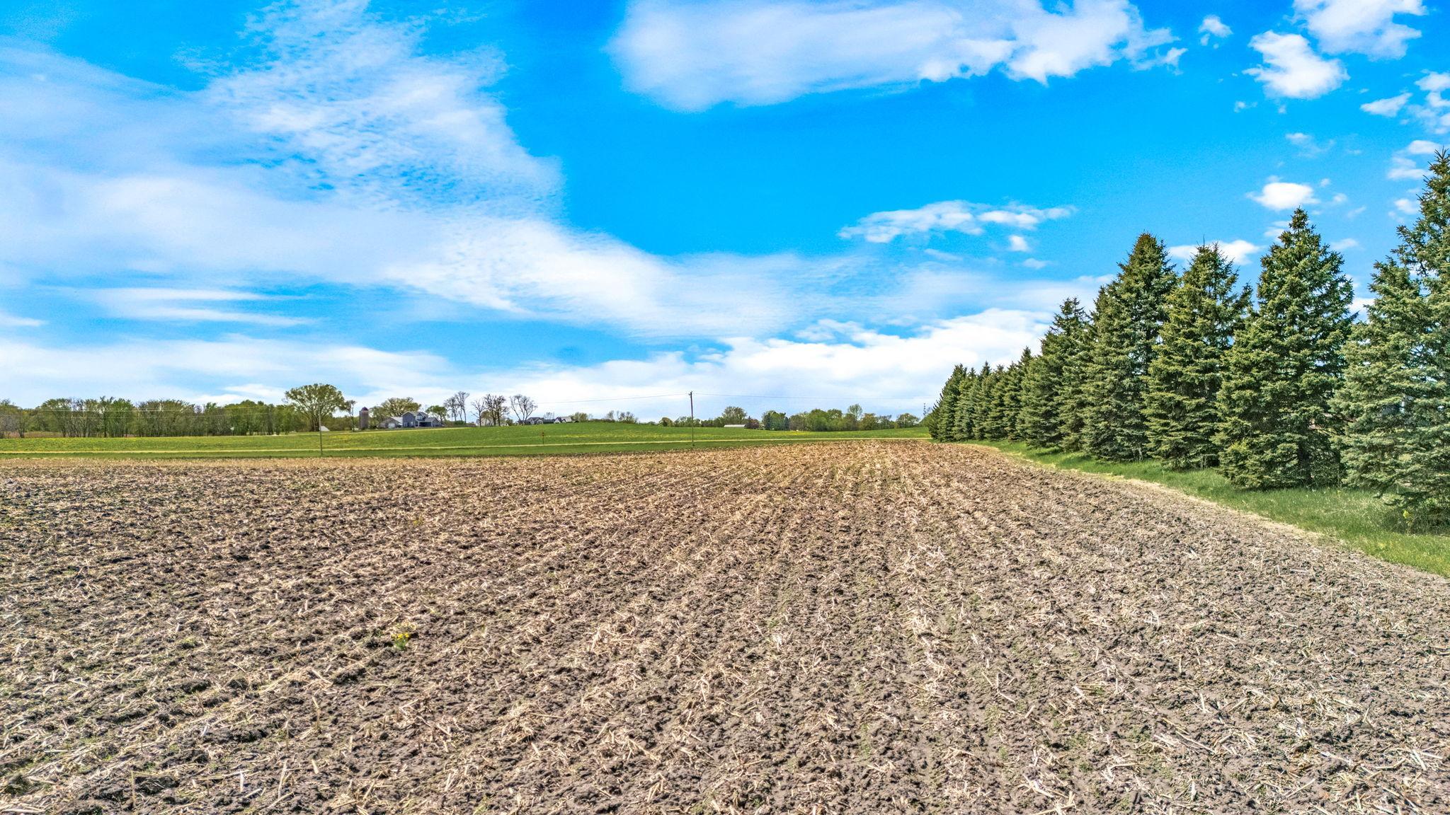 View of Land at XXX County 10, Corcoran MN 55340, Corcoran (6 of 27) - Mike Wilen | Minnesota Team Real Estate