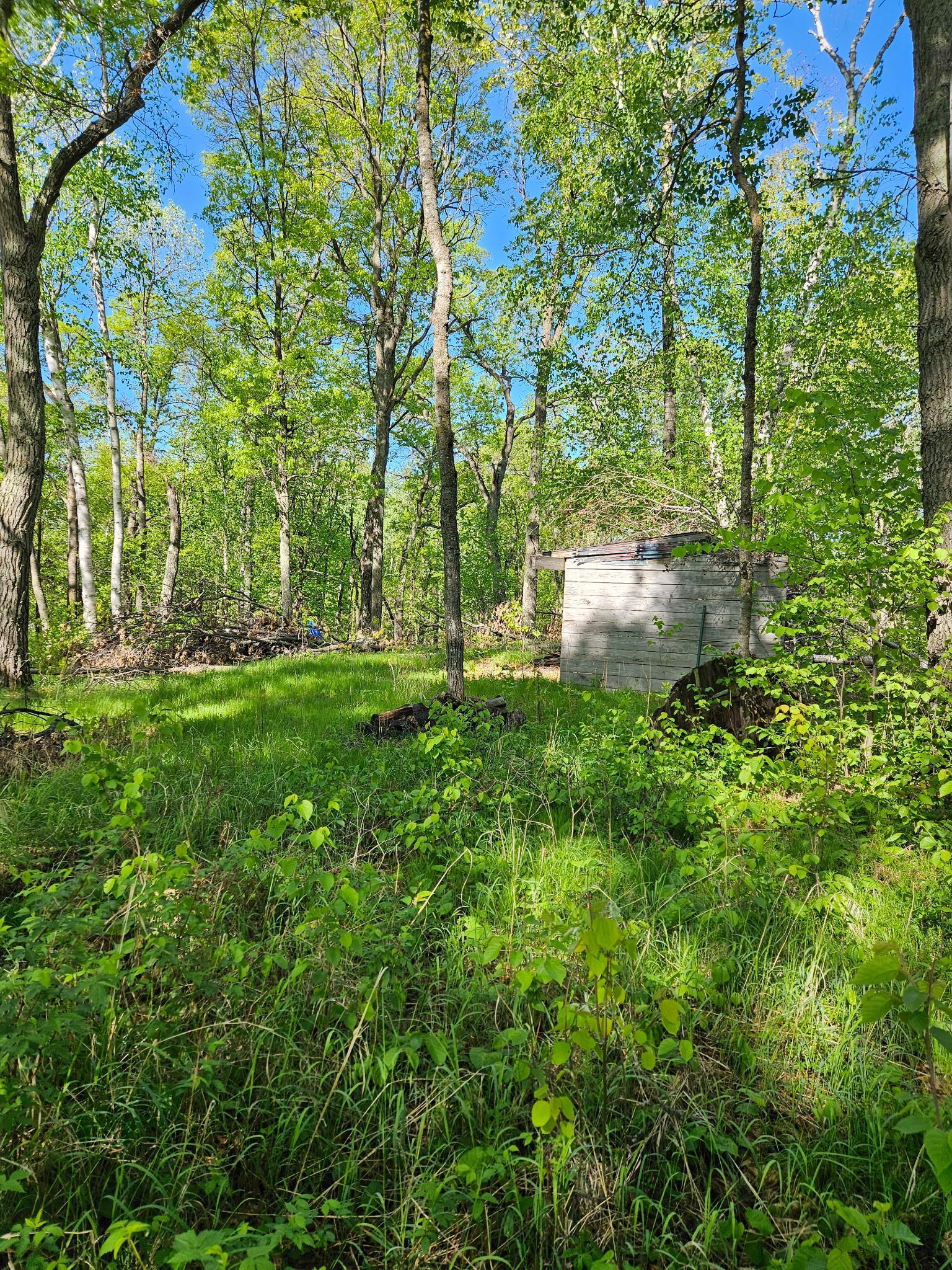 View of Land at TBD Lot 49, Blk 1 HURON DR., Breezy Point MN 56472, Breezy Point (4 of 8) - Mike Wilen | Minnesota Team Real Estate