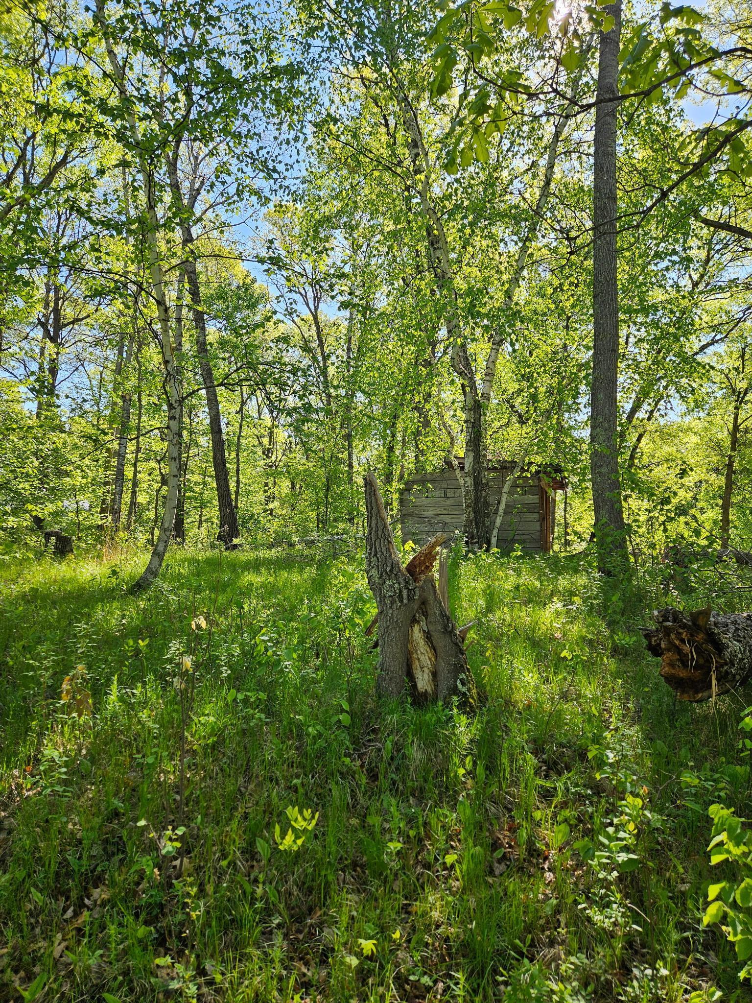 View of Land at TBD Lot 49, Blk 1 HURON DR., Breezy Point MN 56472, Breezy Point (5 of 8) - Mike Wilen | Minnesota Team Real Estate