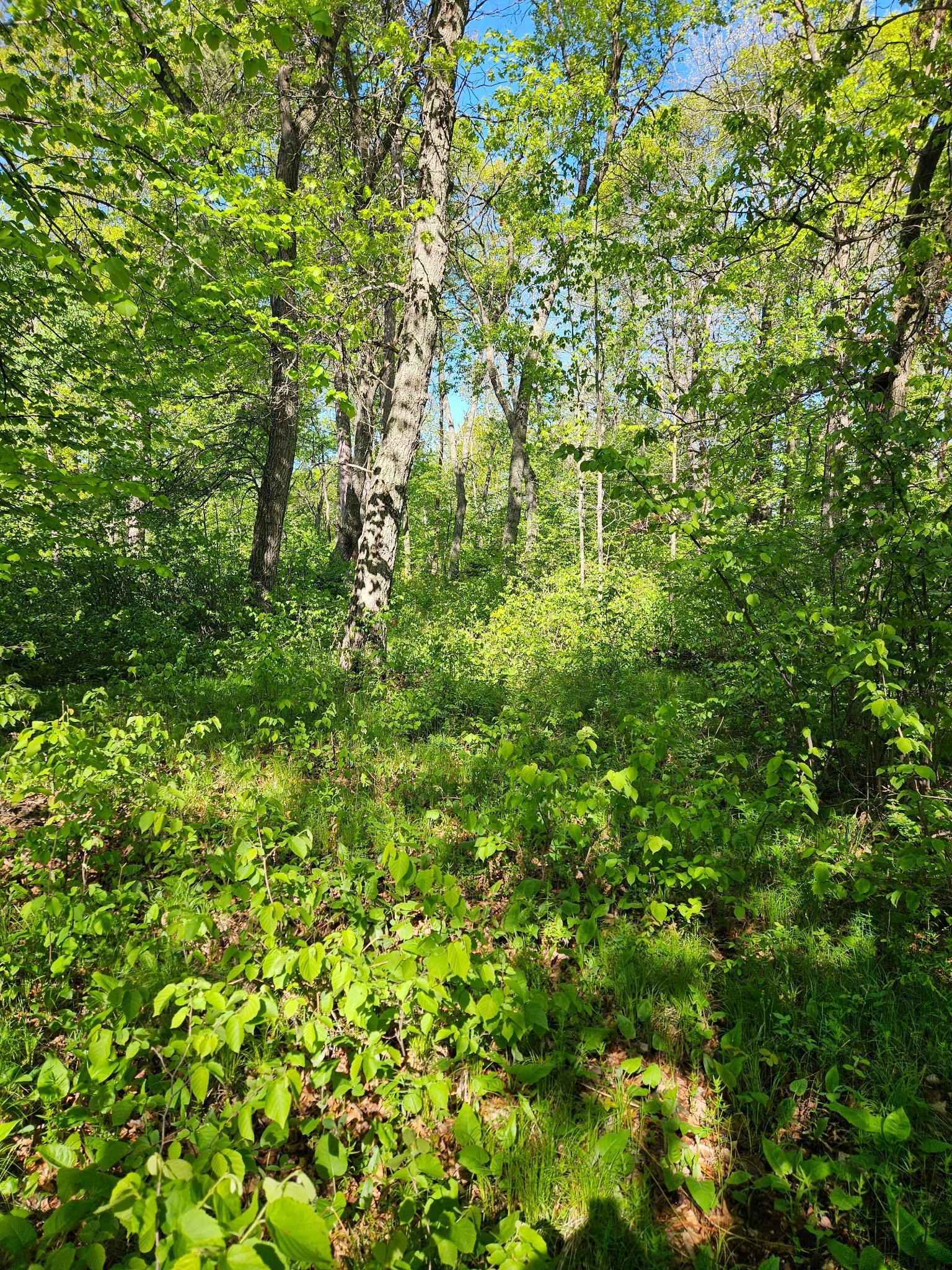 View of Land at TBD Lot 49, Blk 1 HURON DR., Breezy Point MN 56472, Breezy Point (7 of 8) - Mike Wilen | Minnesota Team Real Estate