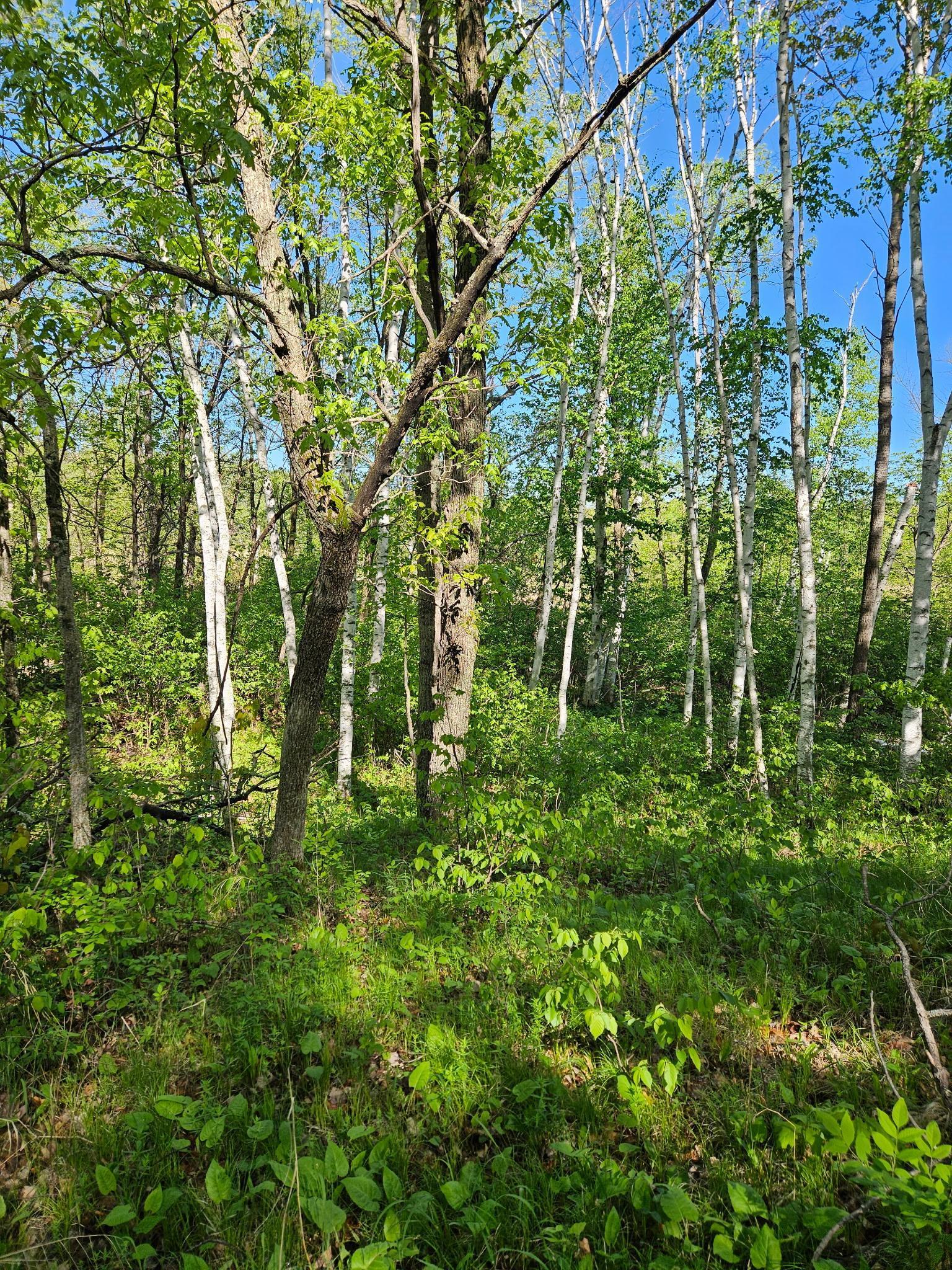 View of Land at TBD Lot 49, Blk 1 HURON DR., Breezy Point MN 56472, Breezy Point (8 of 8) - Mike Wilen | Minnesota Team Real Estate