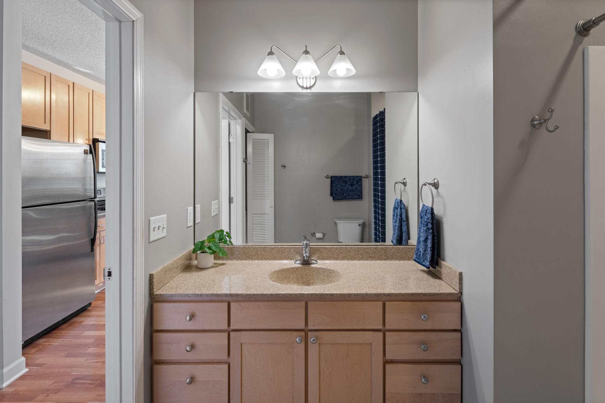 View of Residential at 1805 3rd Avenue #201, Minneapolis MN 55404, Minneapolis (10 of 17) - Mike Wilen | Minnesota Team Real Estate
