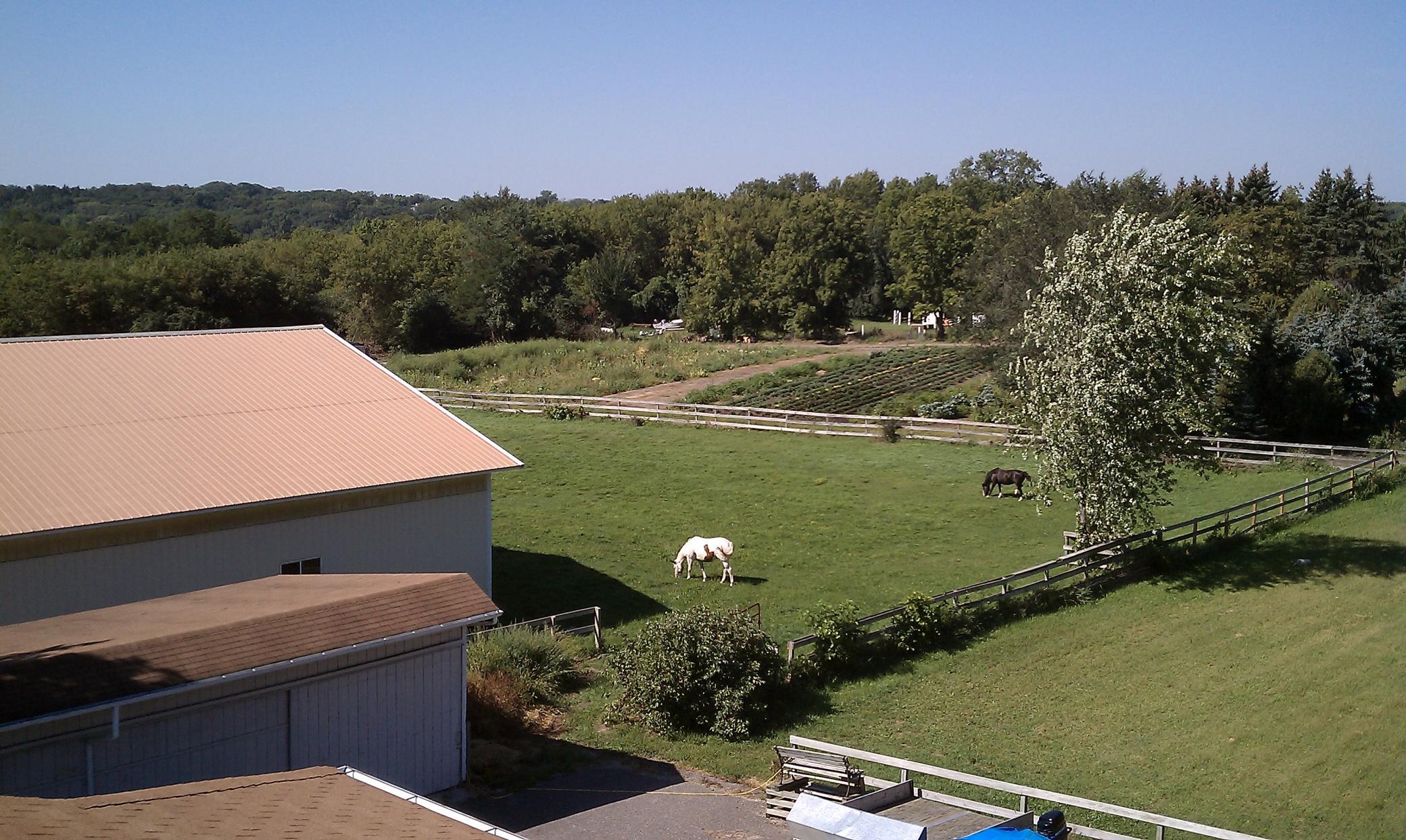 View of Residential at 3685 Watertown Road, Orono MN 55359, Orono (3 of 63) - Mike Wilen | Minnesota Team Real Estate