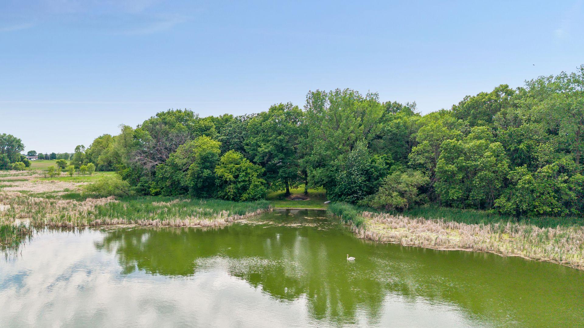 View of Residential at 13160 Willandale Road, Rogers MN 55374, Rogers (48 of 54) - Mike Wilen | Minnesota Team Real Estate
