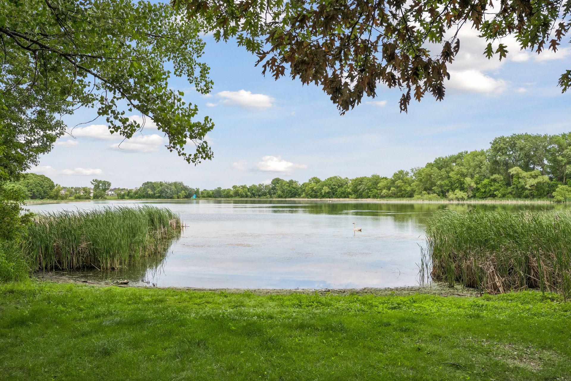 View of Residential at 13160 Willandale Road, Rogers MN 55374, Rogers (54 of 54) - Mike Wilen | Minnesota Team Real Estate