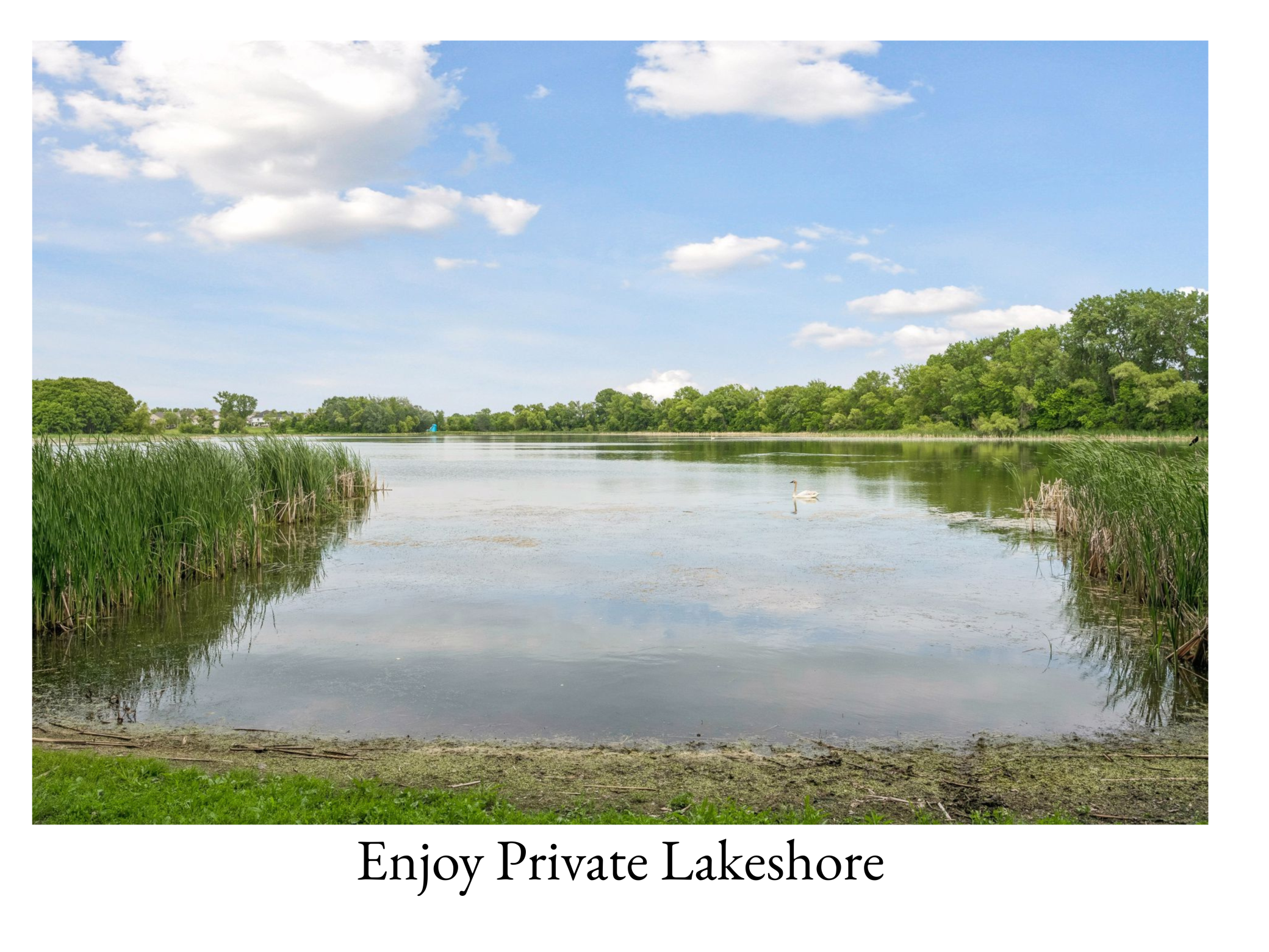 View of Residential at 13160 Willandale Road, Rogers MN 55374, Rogers (5 of 54) - Mike Wilen | Minnesota Team Real Estate