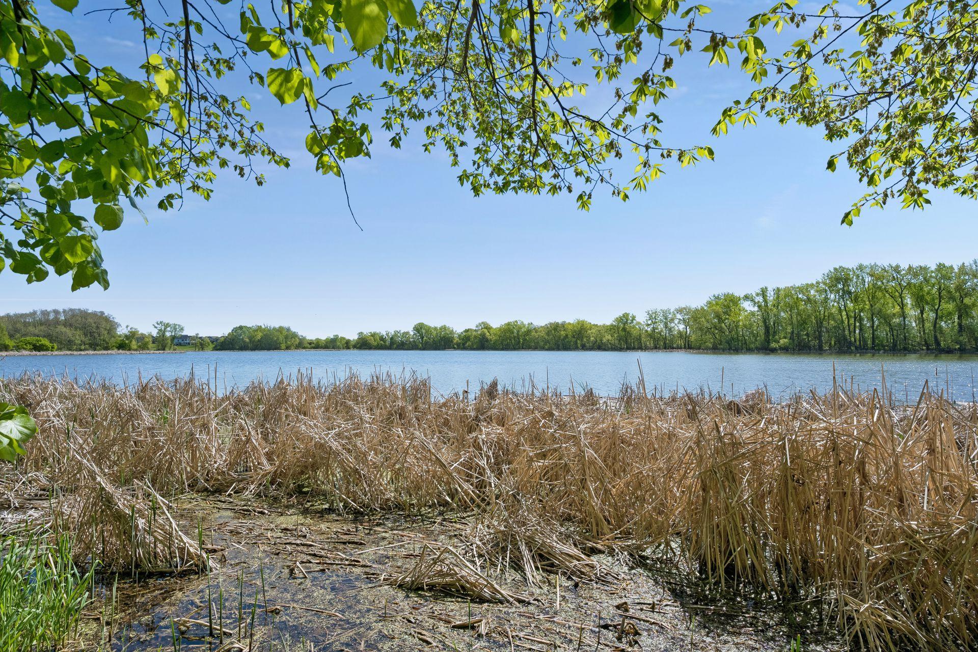 View of Residential at 13180 Willandale Road, Rogers MN 55374, Rogers (36 of 49) - Mike Wilen | Minnesota Team Real Estate