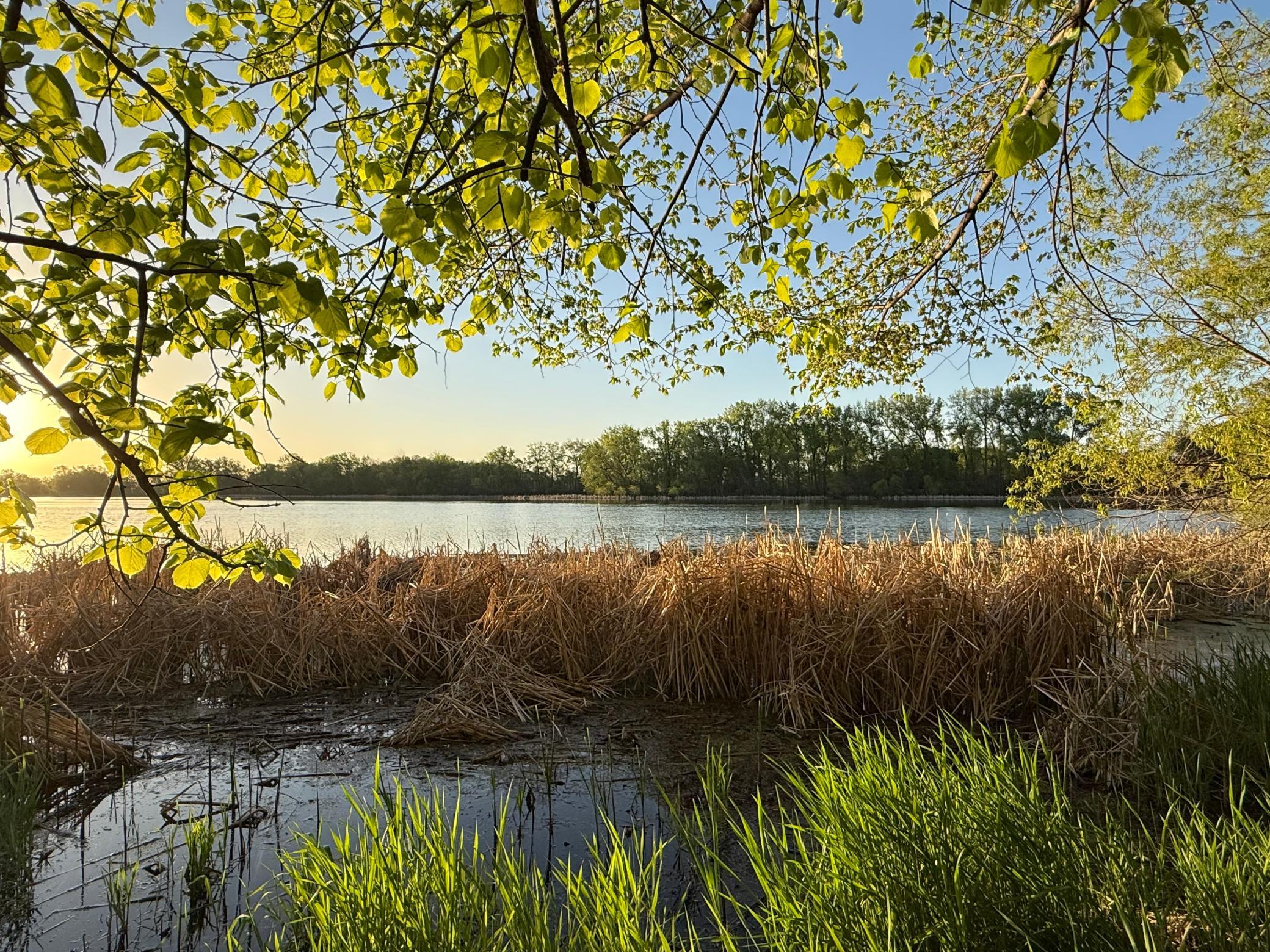View of Residential at 13180 Willandale Road, Rogers MN 55374, Rogers (38 of 49) - Mike Wilen | Minnesota Team Real Estate