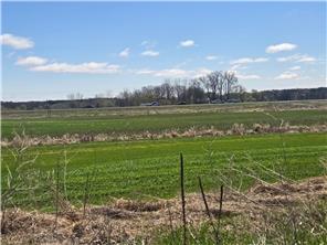 View of Land at 2838 159 Avenue, Ham Lake MN 55304, Ham Lake (2 of 2) - Mike Wilen | Minnesota Team Real Estate