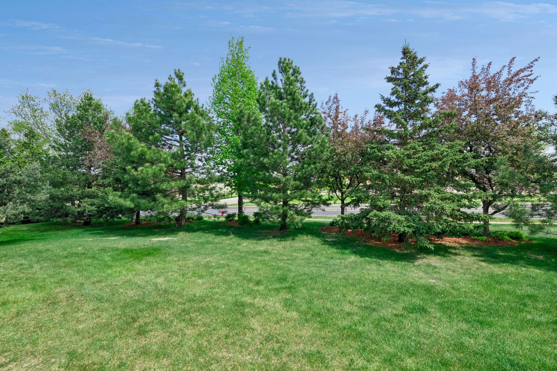 View of Residential at 13890 Blanca Court, Rosemount MN 55068, Rosemount (43 of 49) - Mike Wilen | Minnesota Team Real Estate
