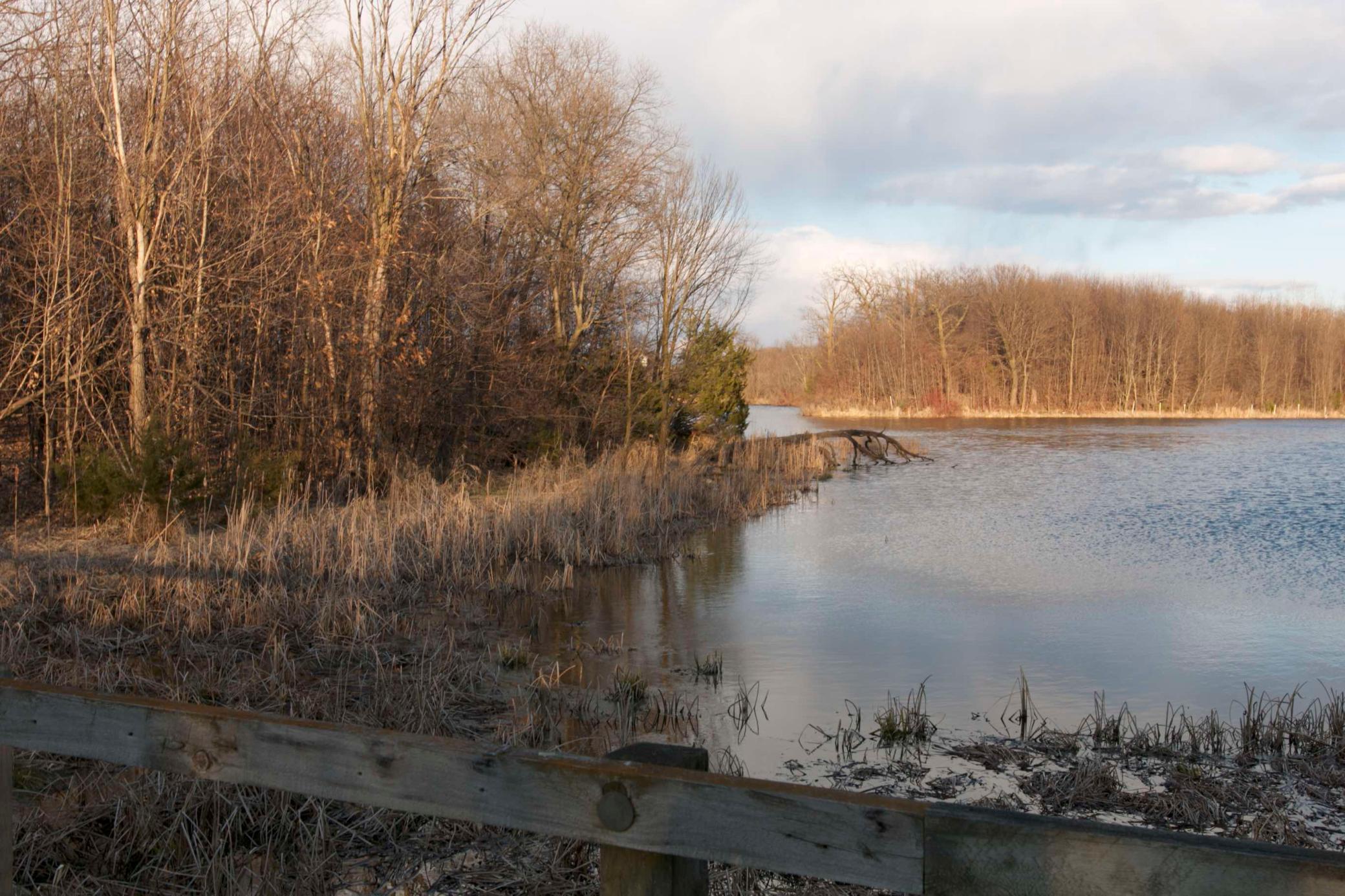 View of Land at 981 Peninsula Point Road, Shakopee MN 55379, Shakopee (2 of 28) - Mike Wilen | Minnesota Team Real Estate