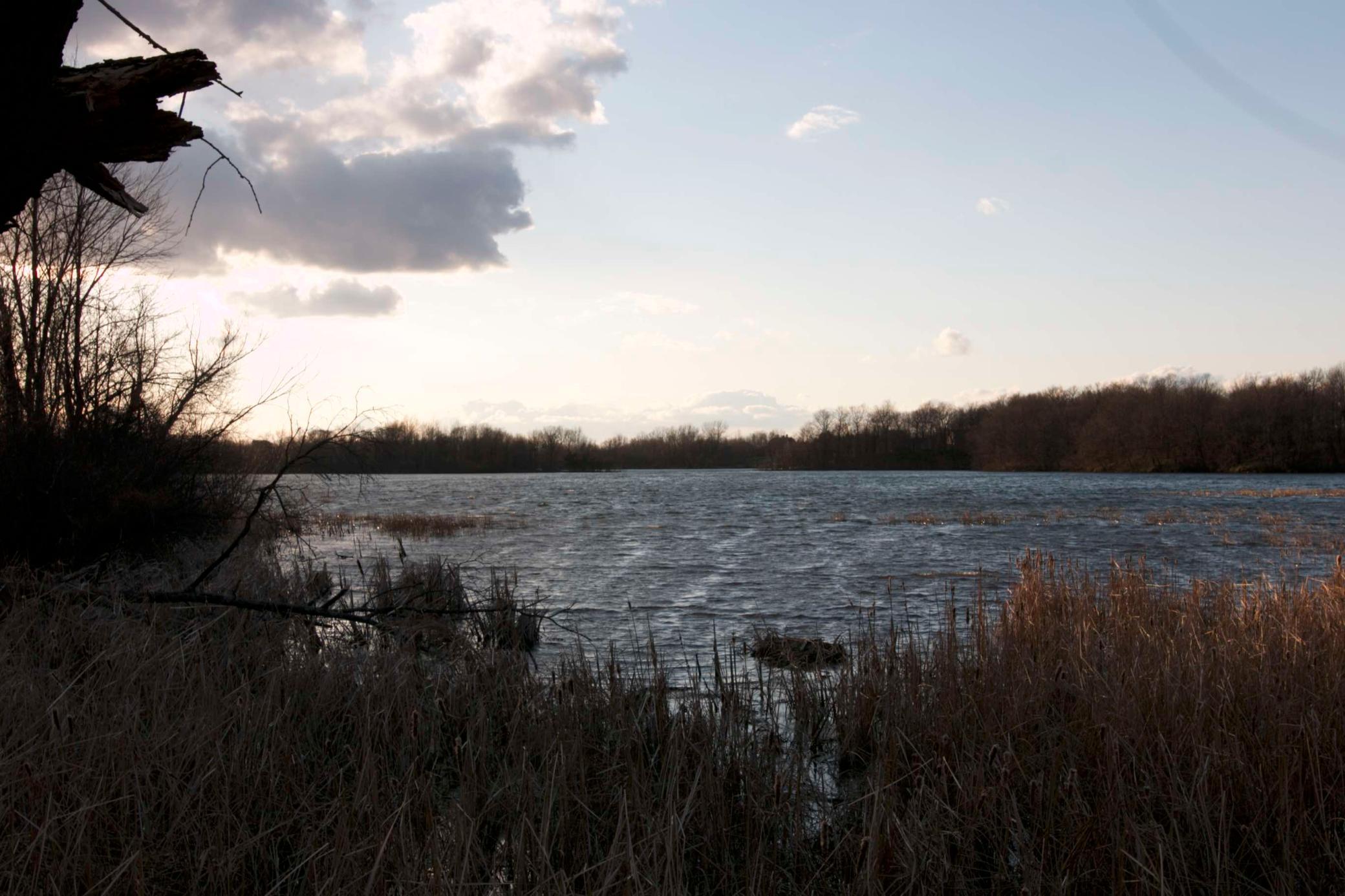 View of Land at 981 Peninsula Point Road, Shakopee MN 55379, Shakopee (9 of 28) - Mike Wilen | Minnesota Team Real Estate