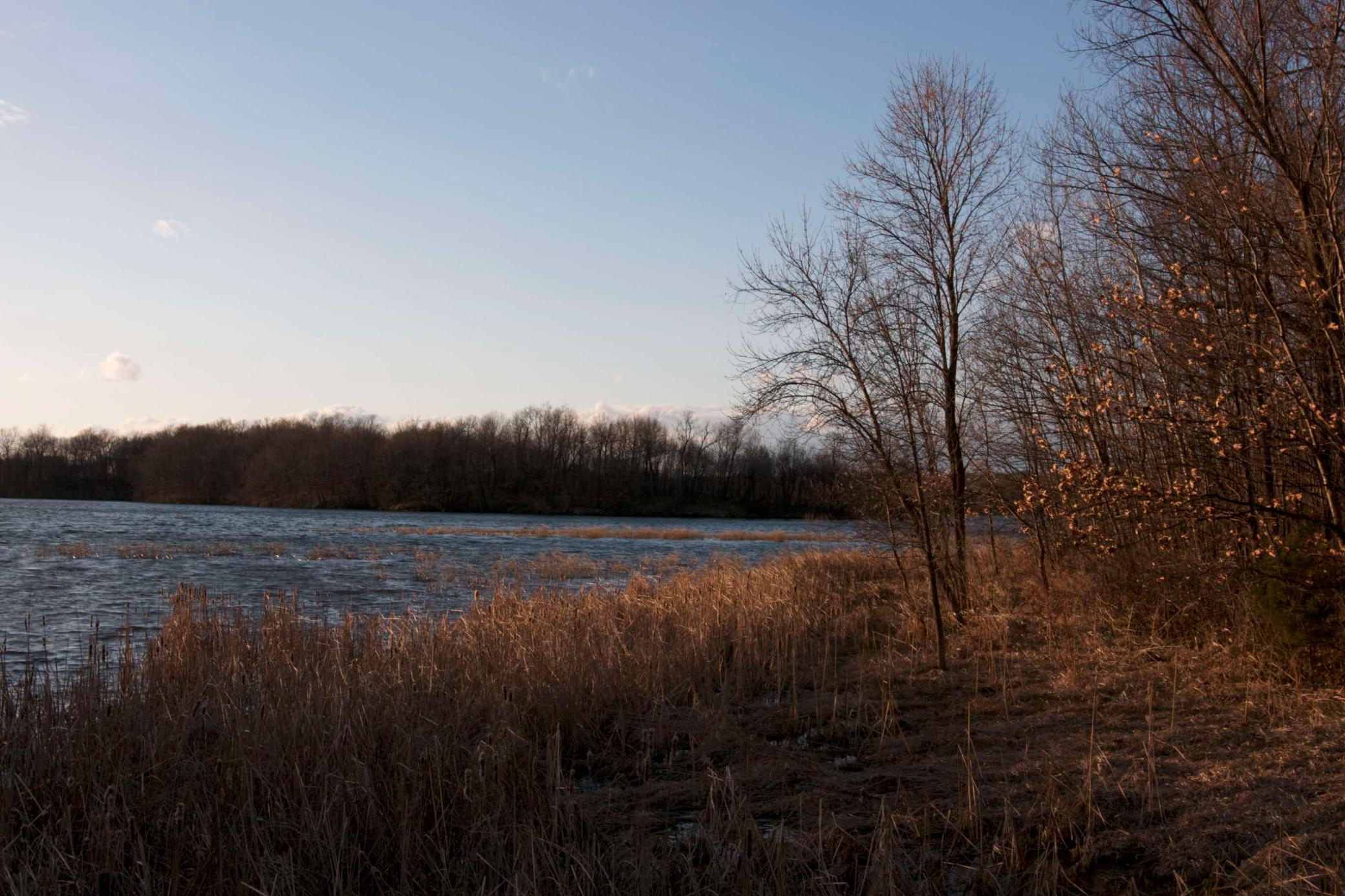 View of Land at 981 Peninsula Point Road, Shakopee MN 55379, Shakopee (10 of 28) - Mike Wilen | Minnesota Team Real Estate