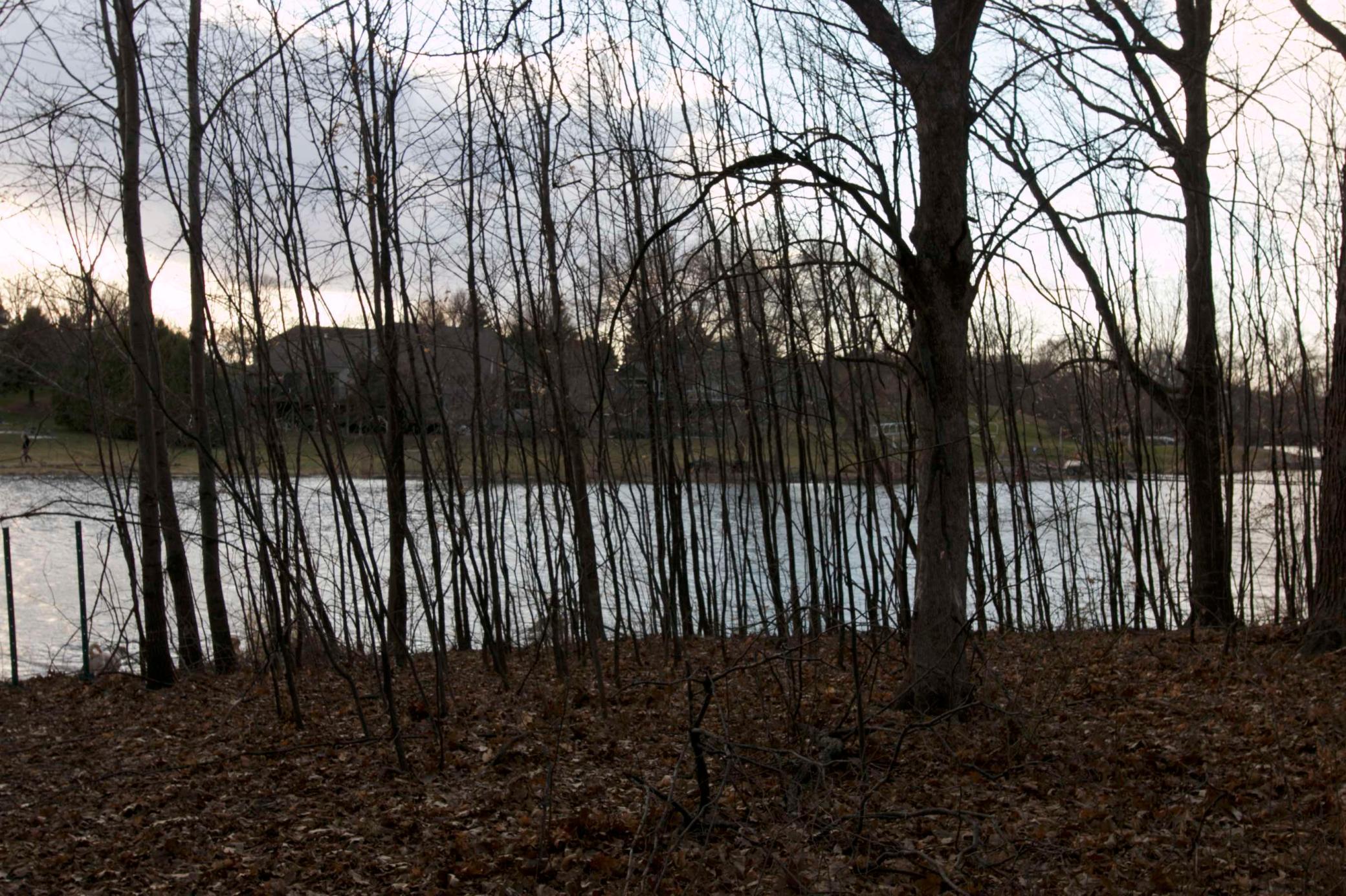 View of Land at 981 Peninsula Point Road, Shakopee MN 55379, Shakopee (11 of 28) - Mike Wilen | Minnesota Team Real Estate