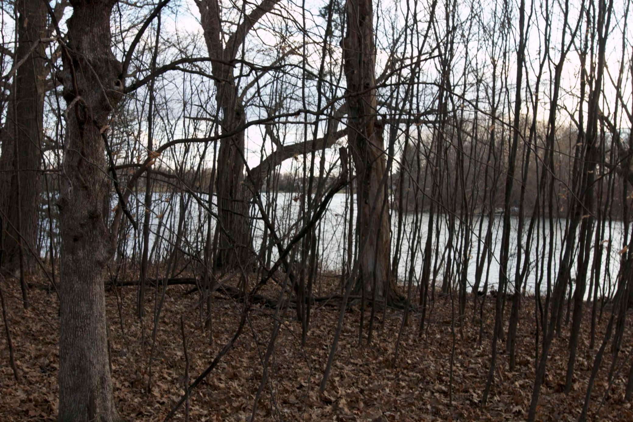 View of Land at 981 Peninsula Point Road, Shakopee MN 55379, Shakopee (12 of 28) - Mike Wilen | Minnesota Team Real Estate