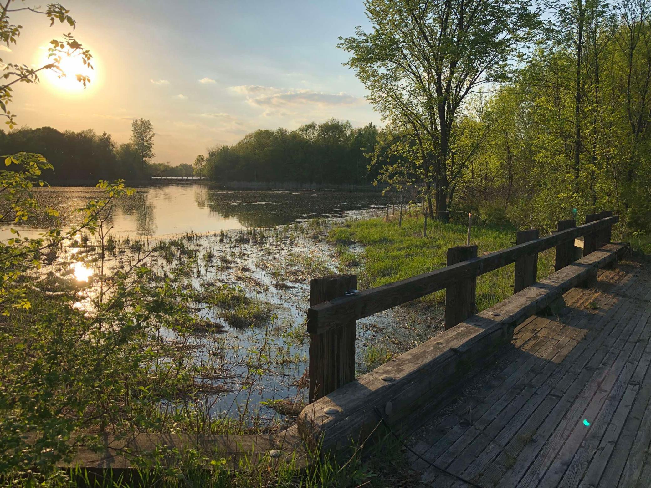 View of Land at 981 Peninsula Point Road, Shakopee MN 55379, Shakopee (5 of 28) - Mike Wilen | Minnesota Team Real Estate