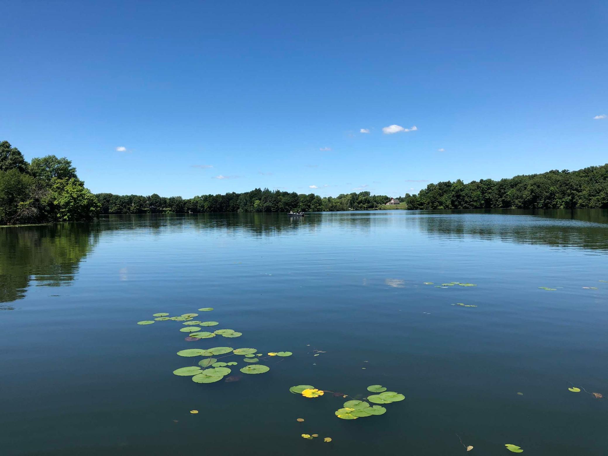 View of Land at 981 Peninsula Point Road, Shakopee MN 55379, Shakopee (16 of 28) - Mike Wilen | Minnesota Team Real Estate