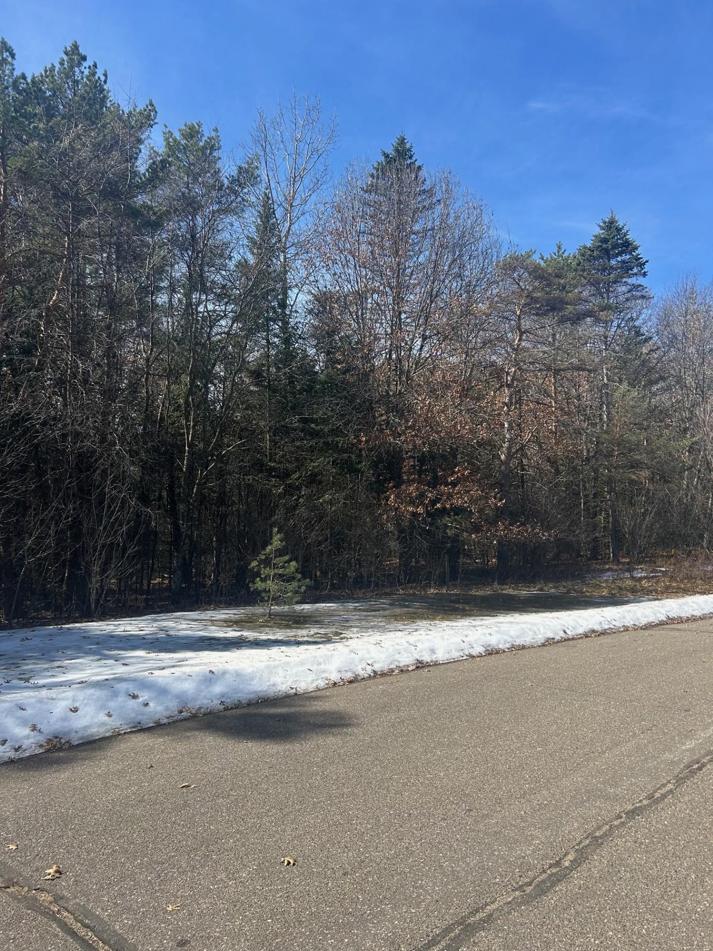 View of Land at 13141 287th Avenue, Zimmerman MN 55398, Zimmerman (2 of 3) - Mike Wilen | Minnesota Team Real Estate