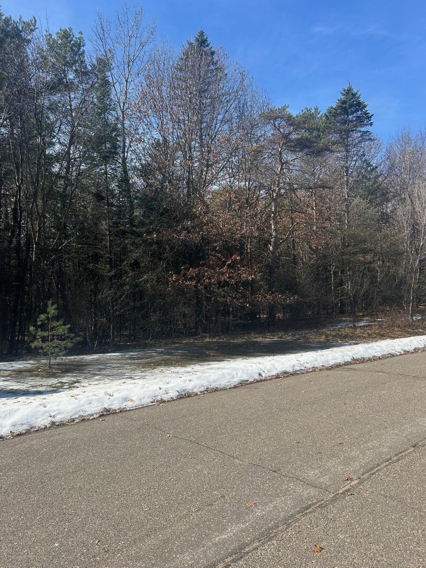 View of Land at 13141 287th Avenue, Zimmerman - Mike Wilen | Minnesota Team Real Estate