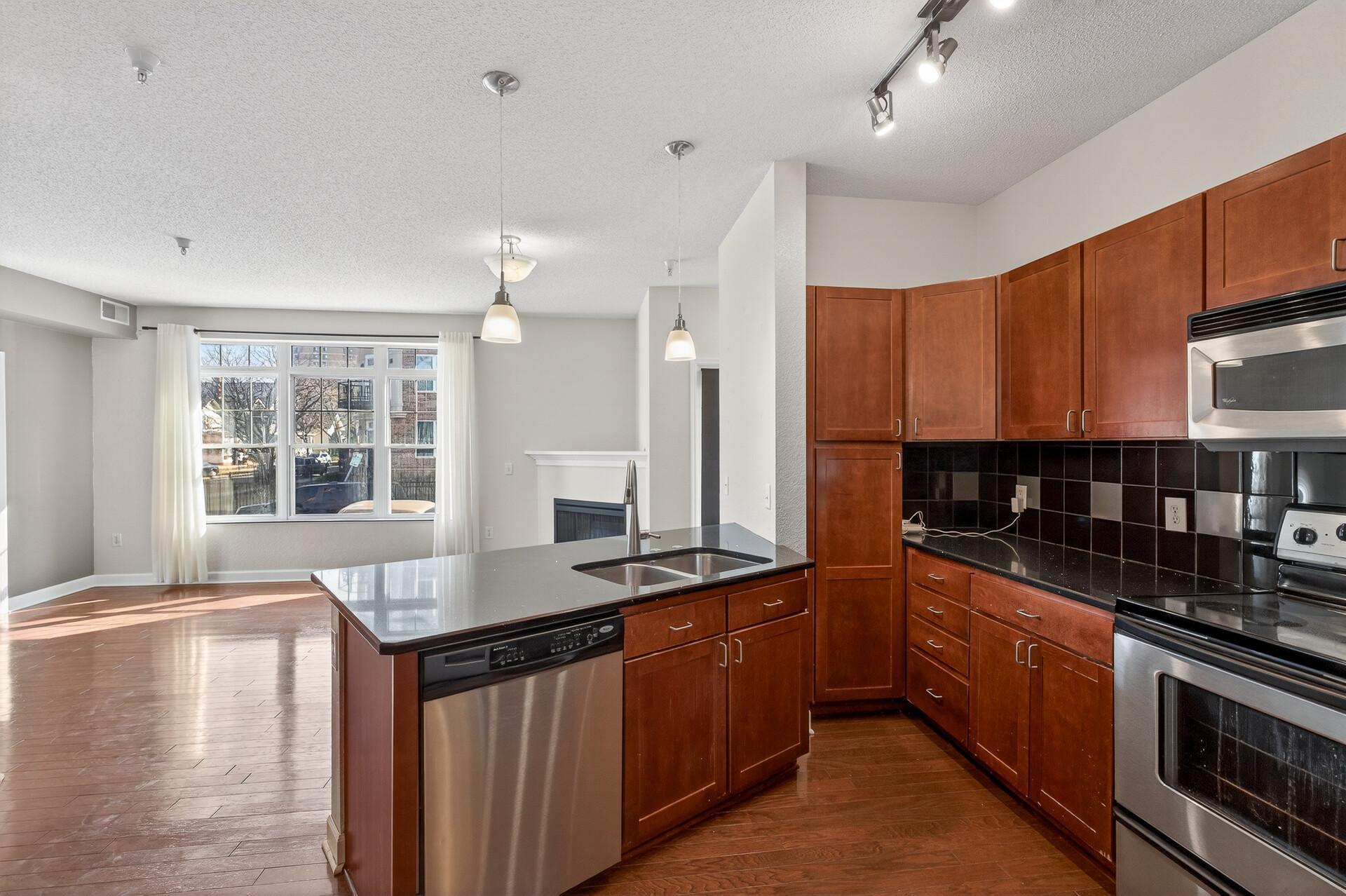 View of Residential at 314 18th Street, Minneapolis MN 55404, Minneapolis (4 of 22) - Mike Wilen | Minnesota Team Real Estate