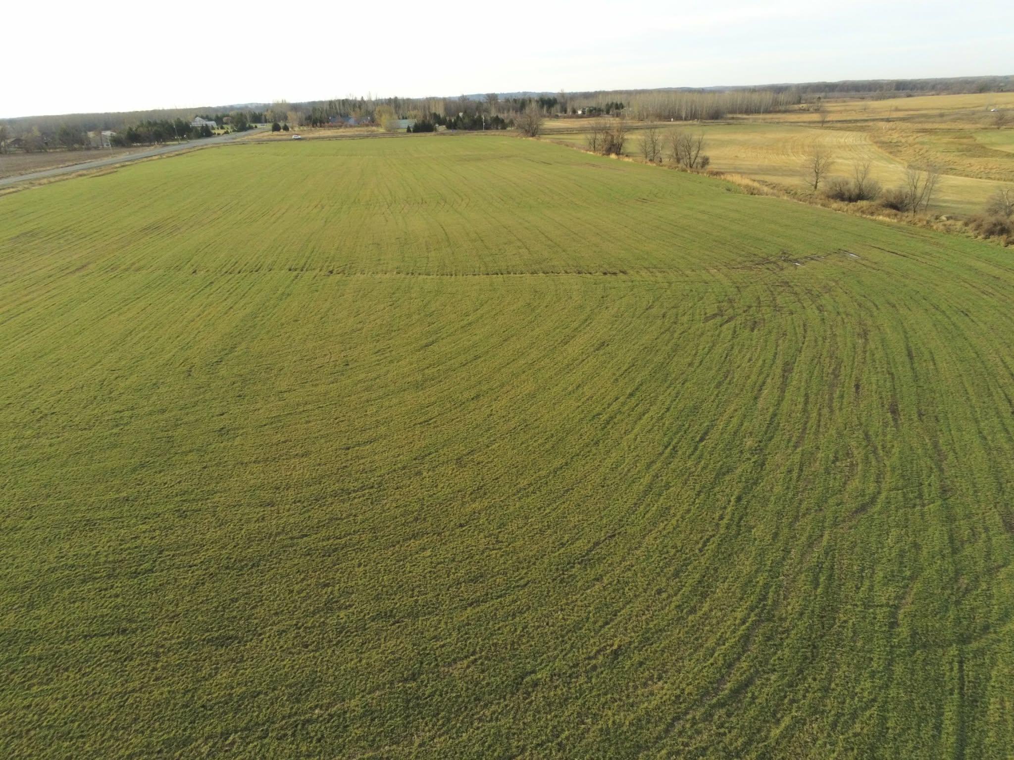 View of Land at Lot 1 Rush Lake Trail, Braham MN 55006, Braham (9 of 12) - Mike Wilen | Minnesota Team Real Estate