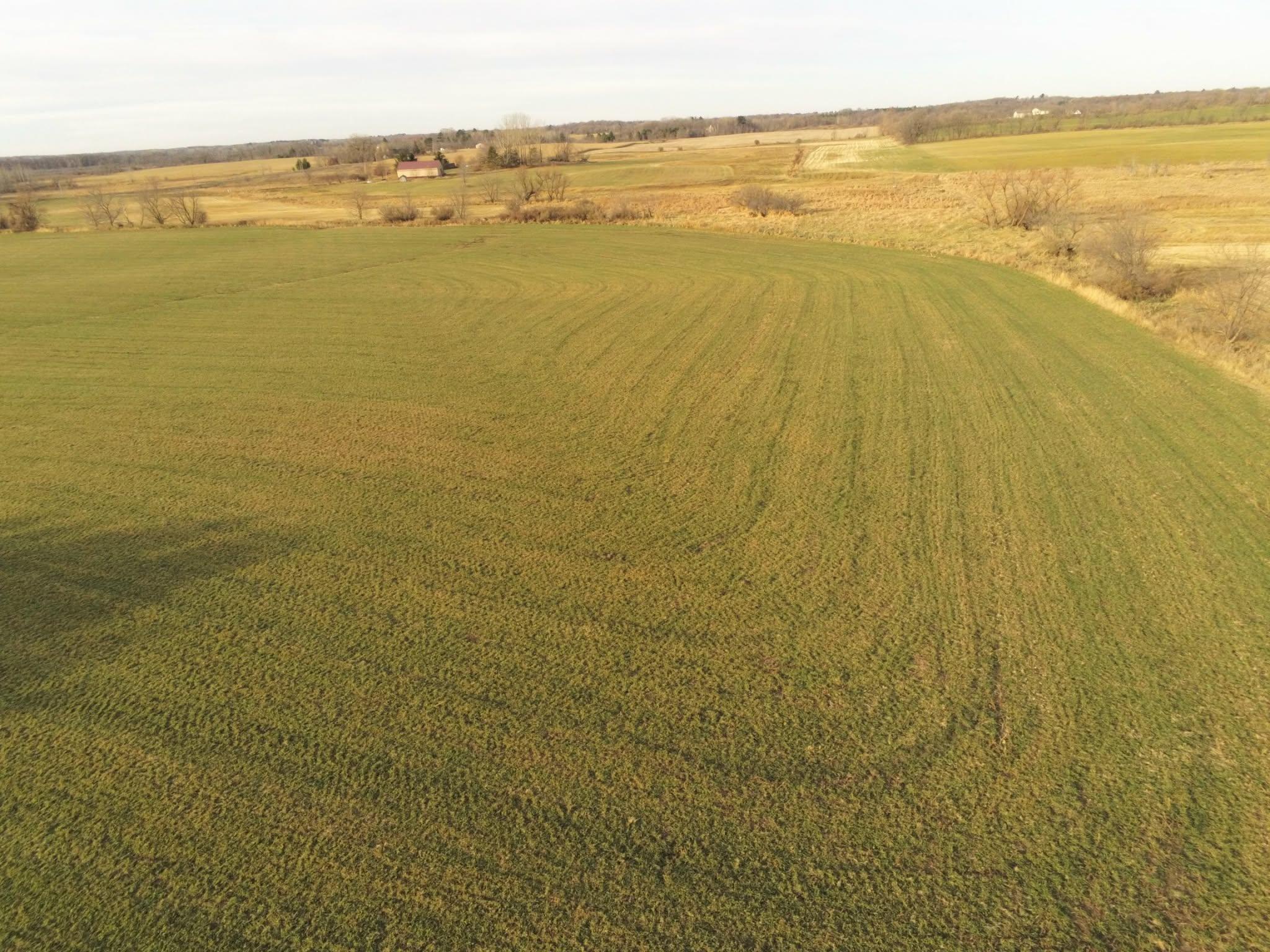 View of Land at Lot 1 Rush Lake Trail, Braham MN 55006, Braham (8 of 12) - Mike Wilen | Minnesota Team Real Estate